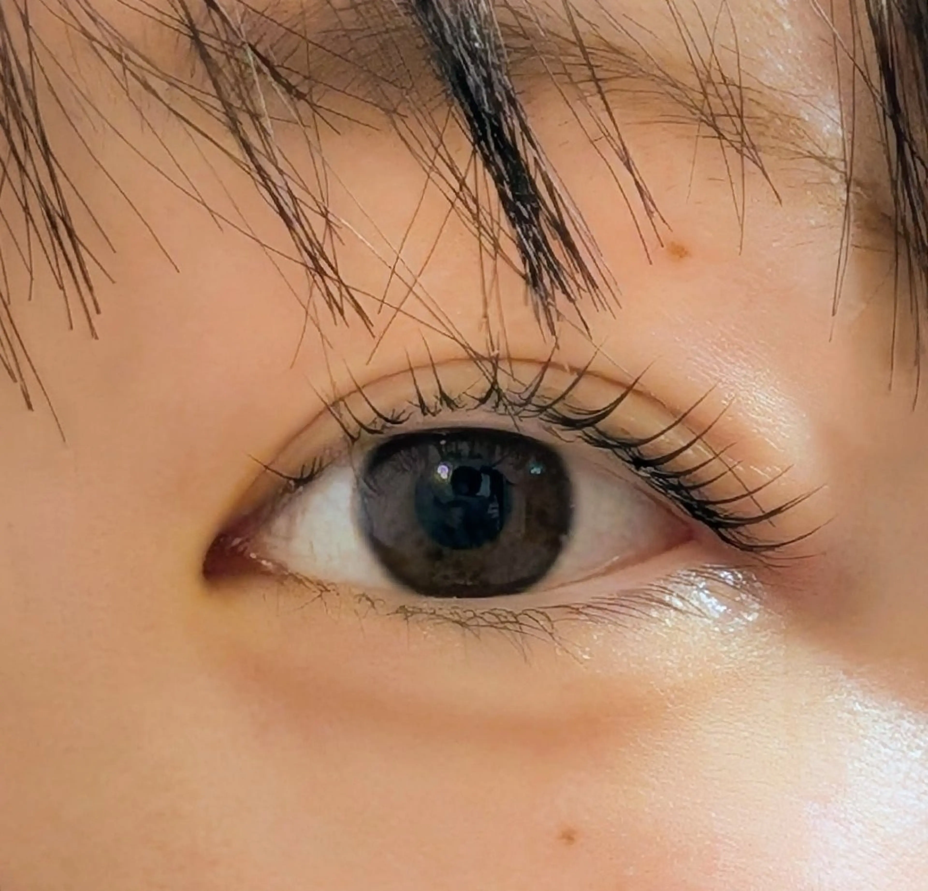 マツエク・マツパ マツパ ANEMONA 龍河のマツエク・マツパデザイン