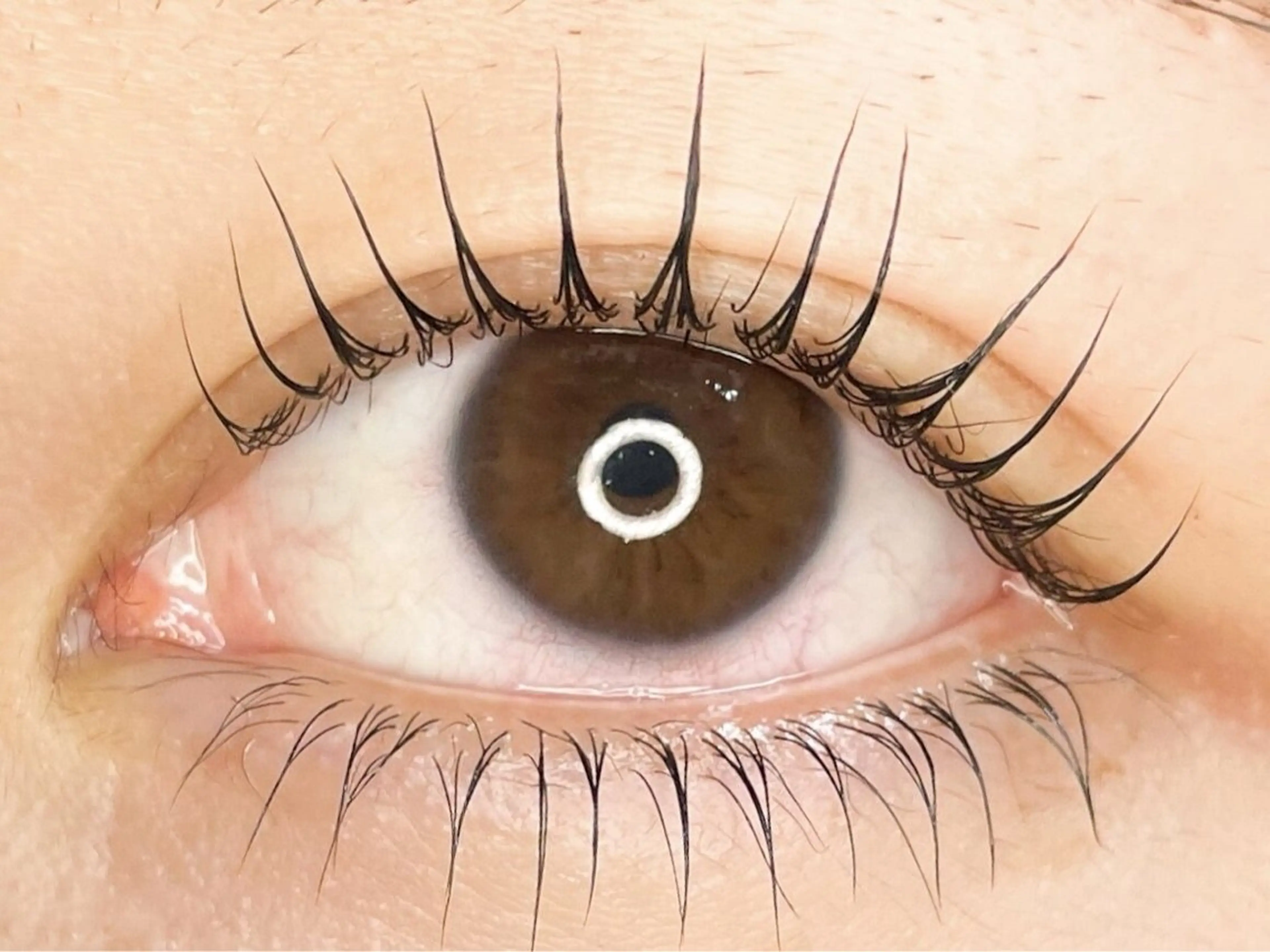 マツエク・マツパ ANEMONA nail&lashのネイルデザイン