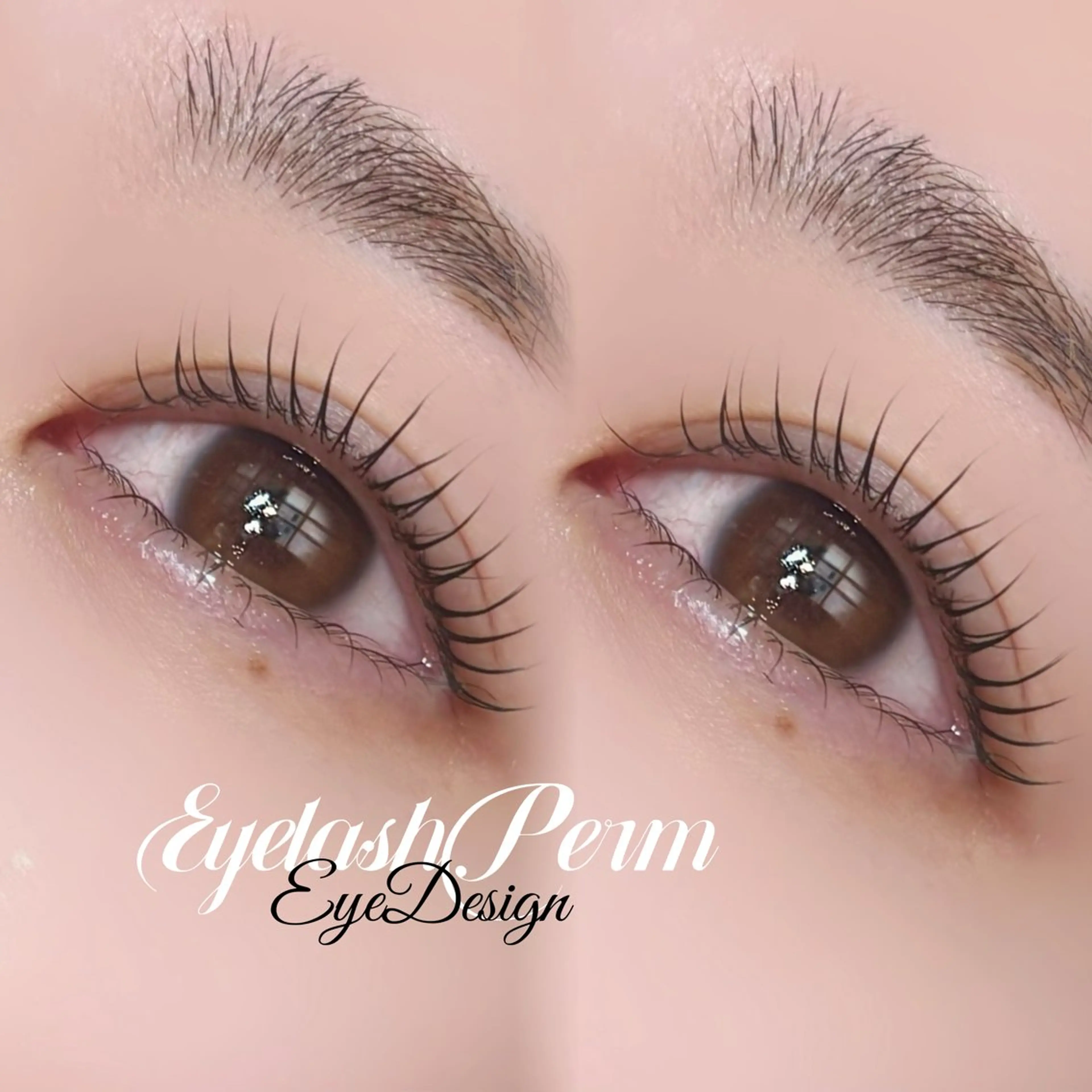 マツエク・マツパ manaca .のマツエク・マツパデザイン