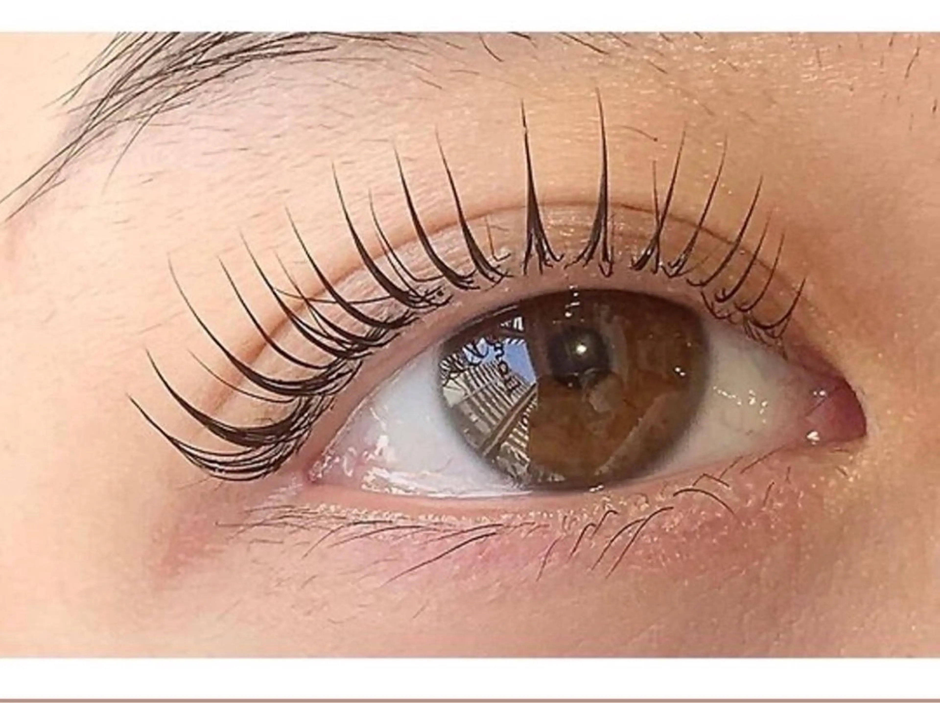 3月限定💓【まつ毛人気No.1✨美容液仕上げ込み】似合わせまつ毛パーマ（上） （まつげ/パーマ）［亀戸/錦糸町］の写真