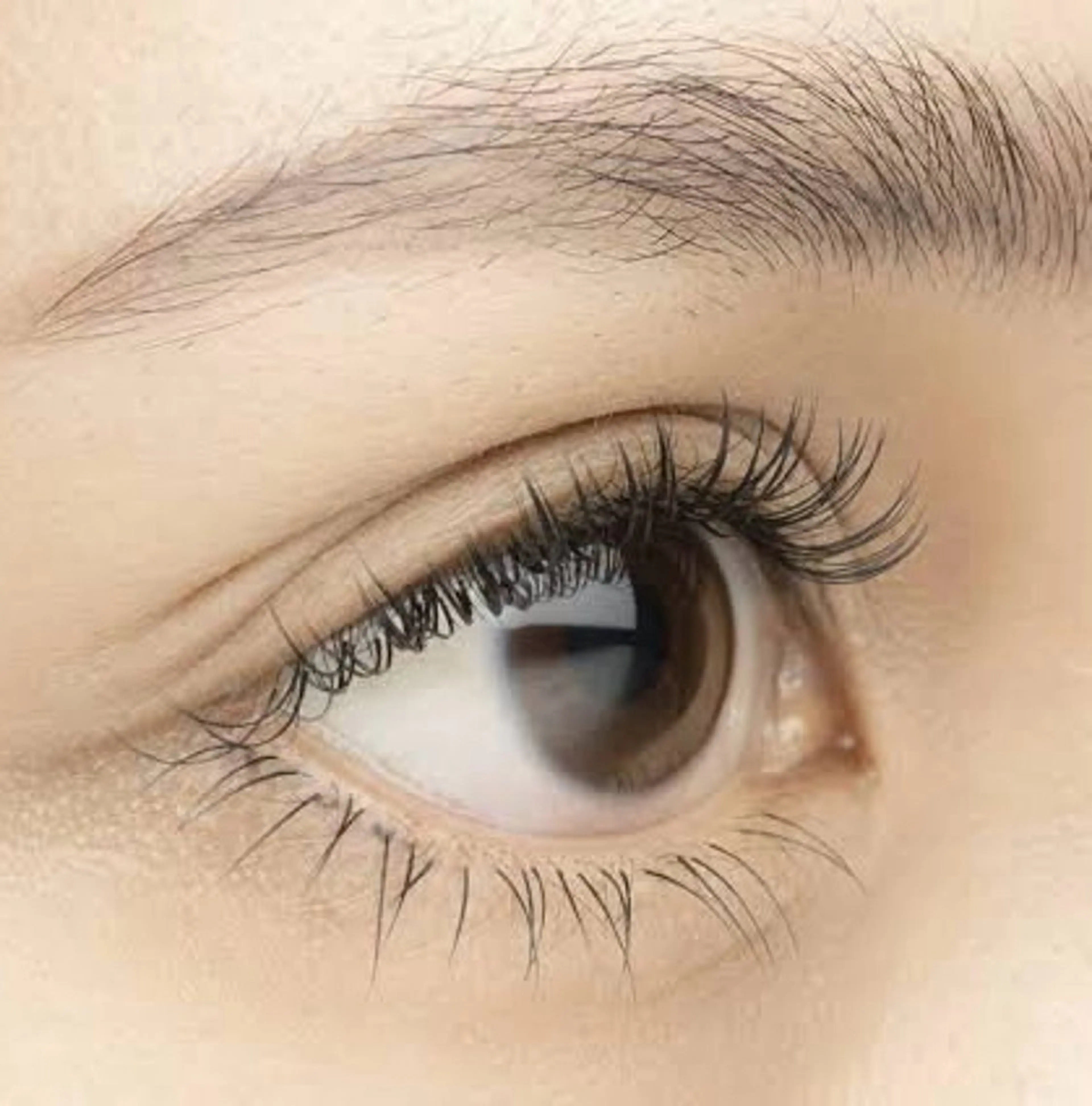 マツエク・マツパ 中山 優紀の眉毛・アイブロウイメージ