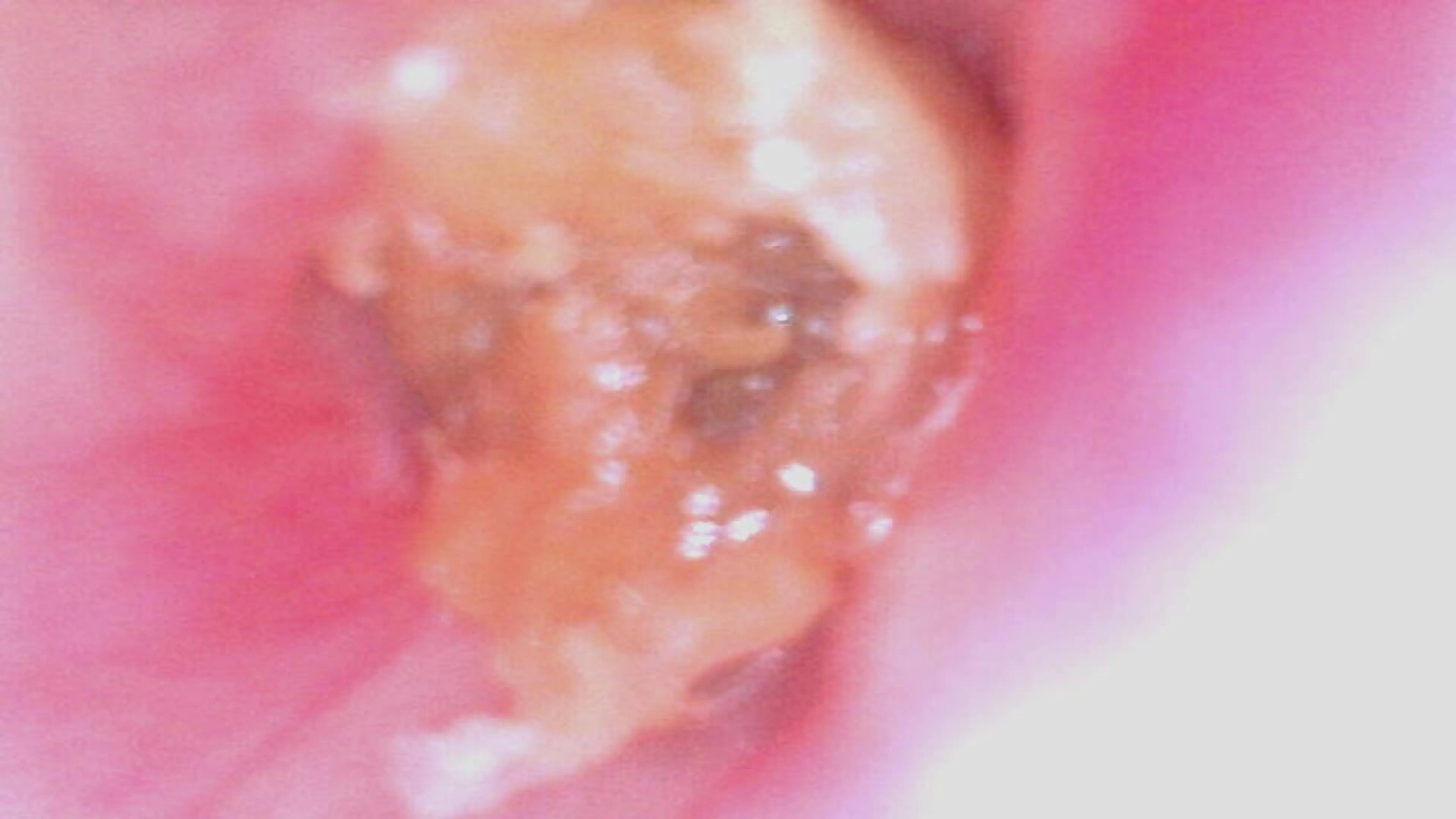 伊 藤のその他イメージ