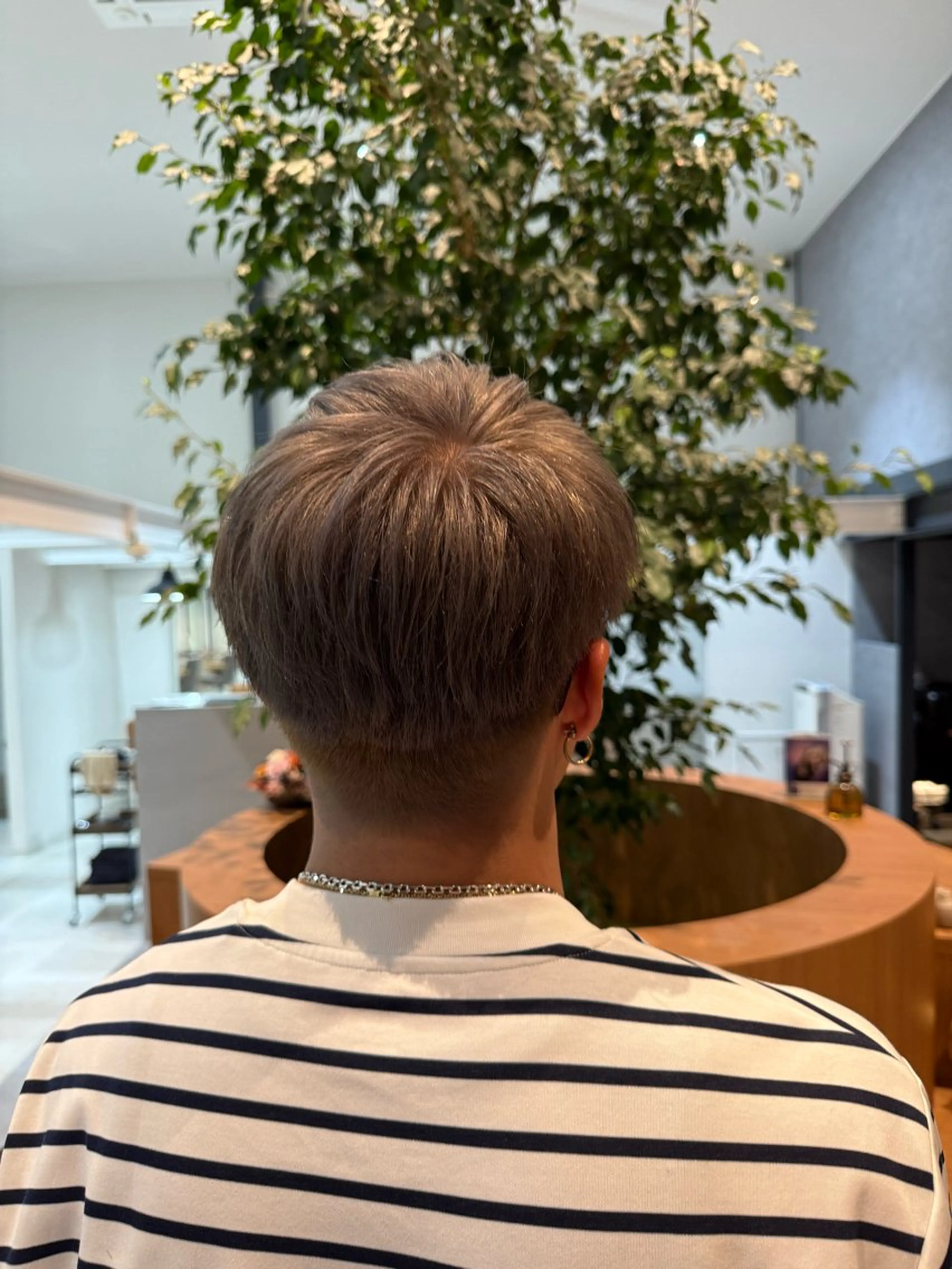 ショート カラー メンズ グレージュ シルバー シルバーグレージュ カット ヘアカラー ayaka |トレンドヘアのヘアスタイル