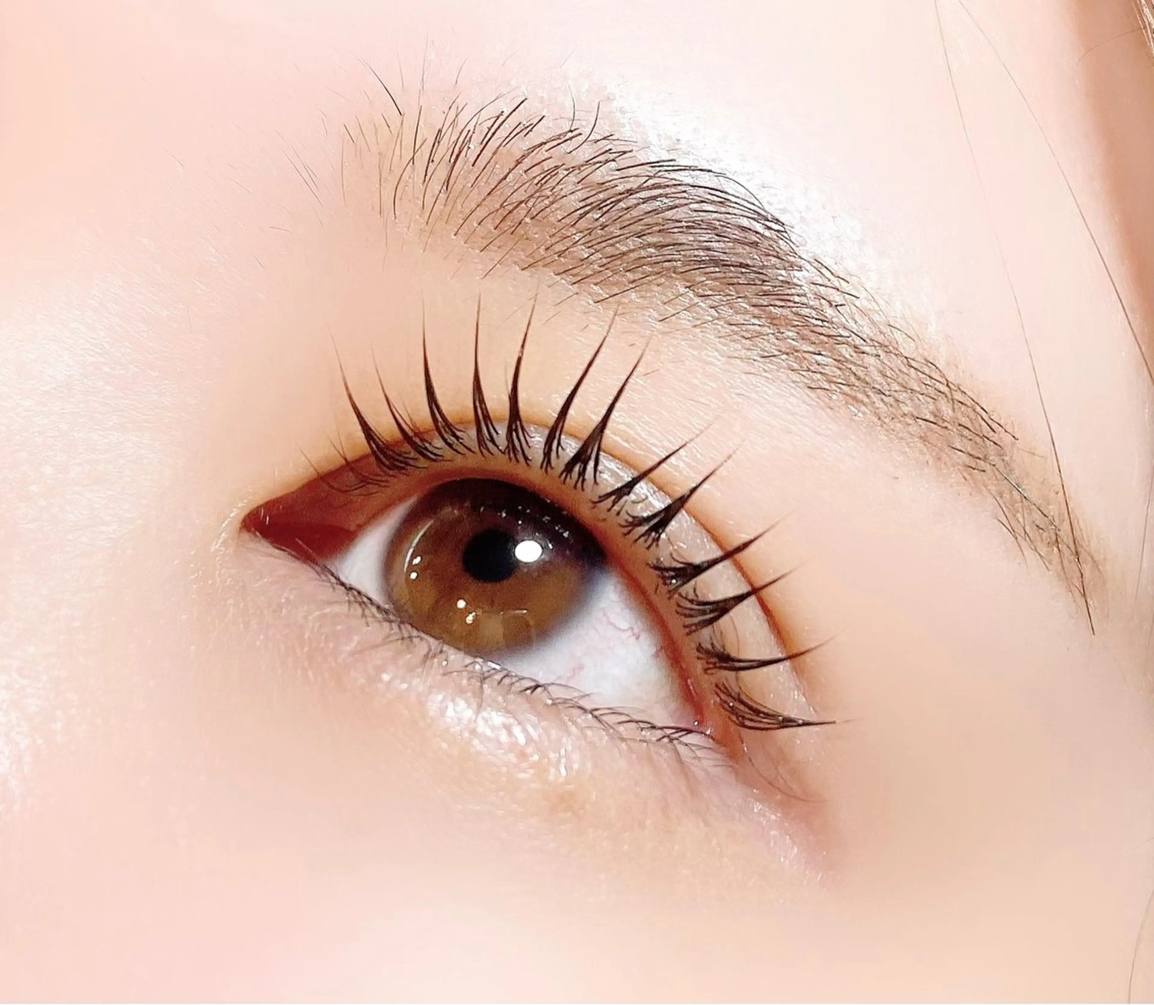 パリジェンヌor似合わせラッシュリフト（トリートメント付き）の写真