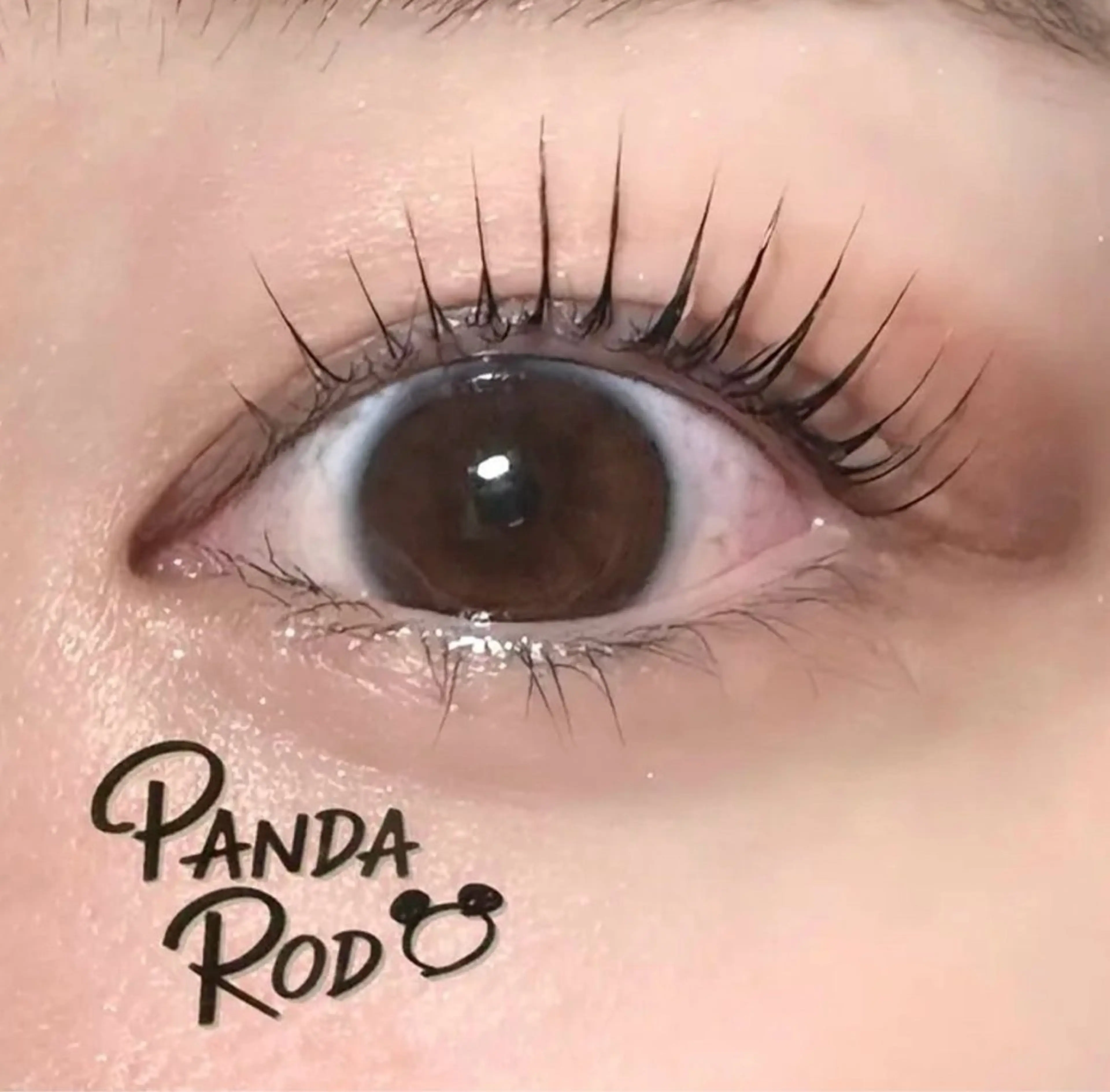 【パンダロッド🐼】で根本から毛先までストレート上げ💗の写真