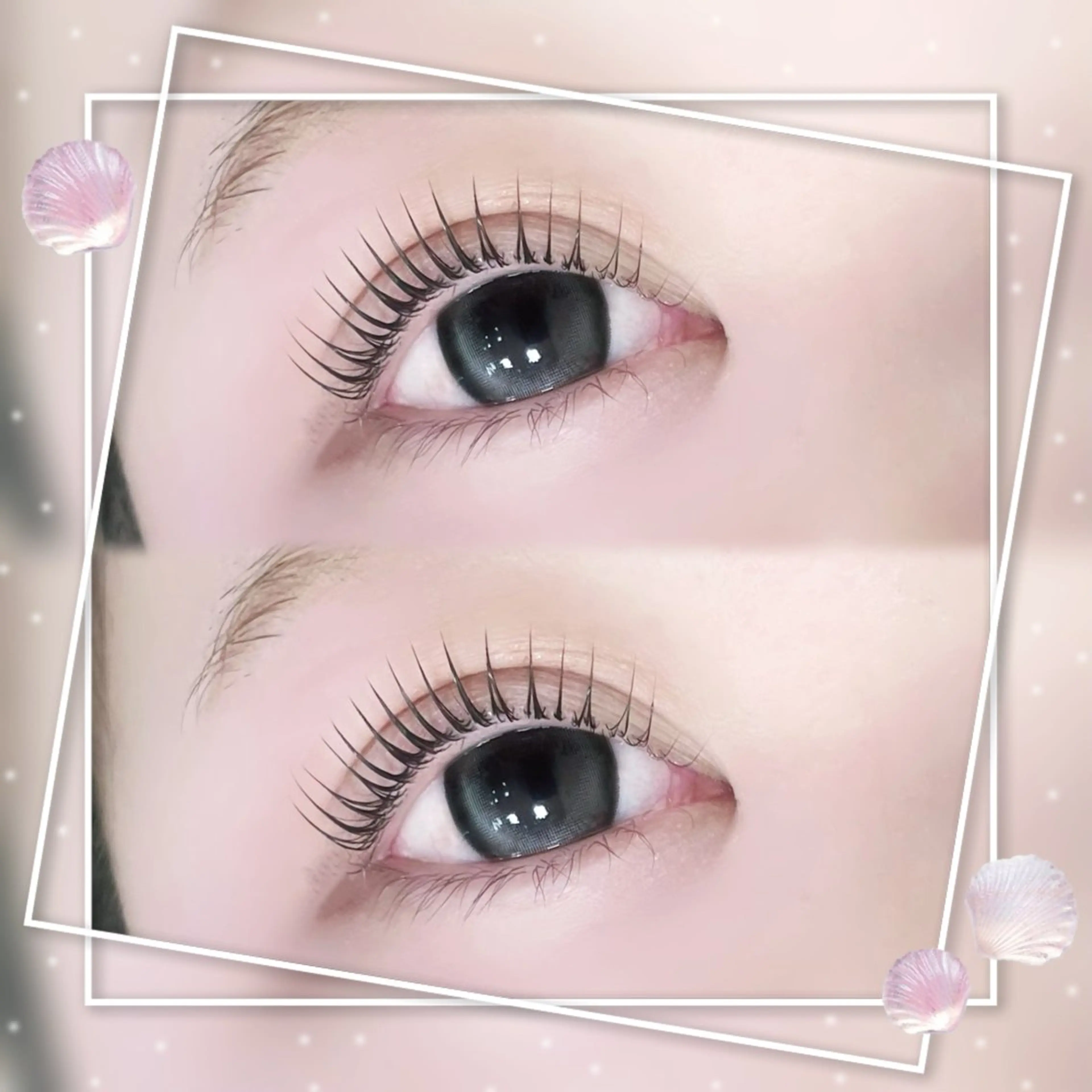 🎉㊗️12月限定価格🎉㊗️【まつ毛パーマ】➕【コーティング商品】￥6600の写真