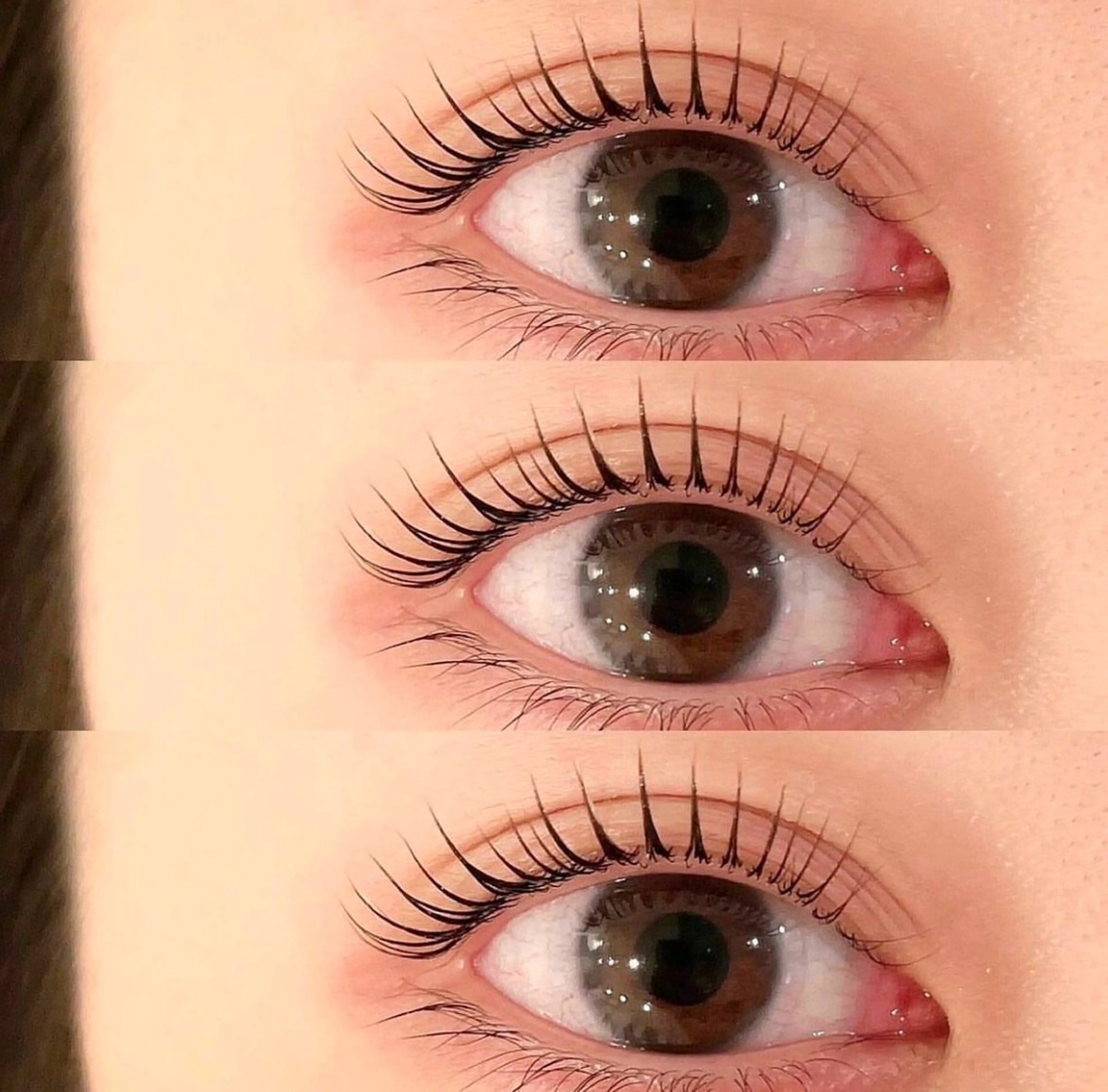 【特別価格🌷】パリジェンヌラッシュリフト/選べるパーマの写真