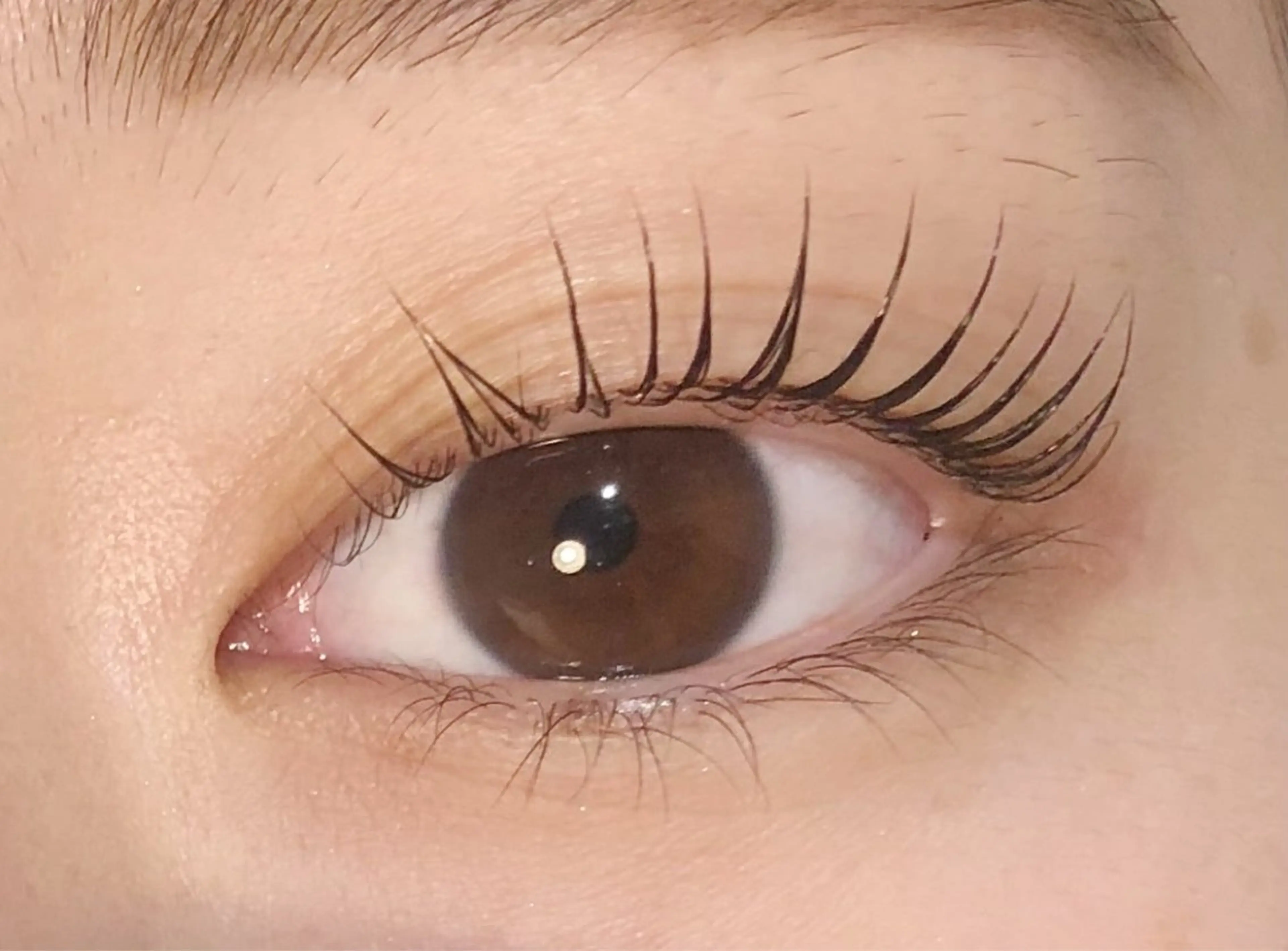 マツエク・マツパ ayano🐾 eightのマツエク・マツパデザイン