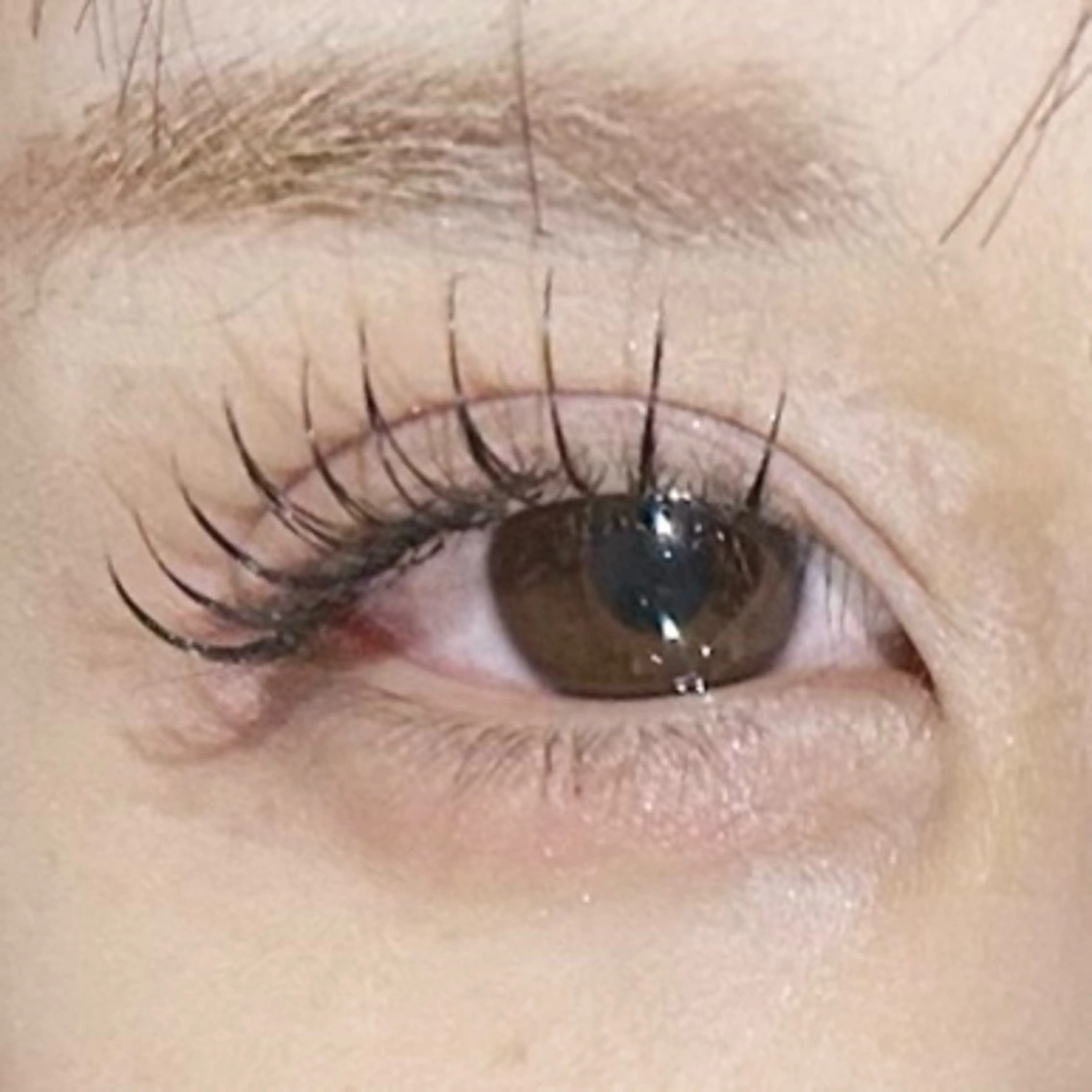 マツエク・マツパ マツエク soposilma 🧸今季OPENのマツエク・マツパデザイン