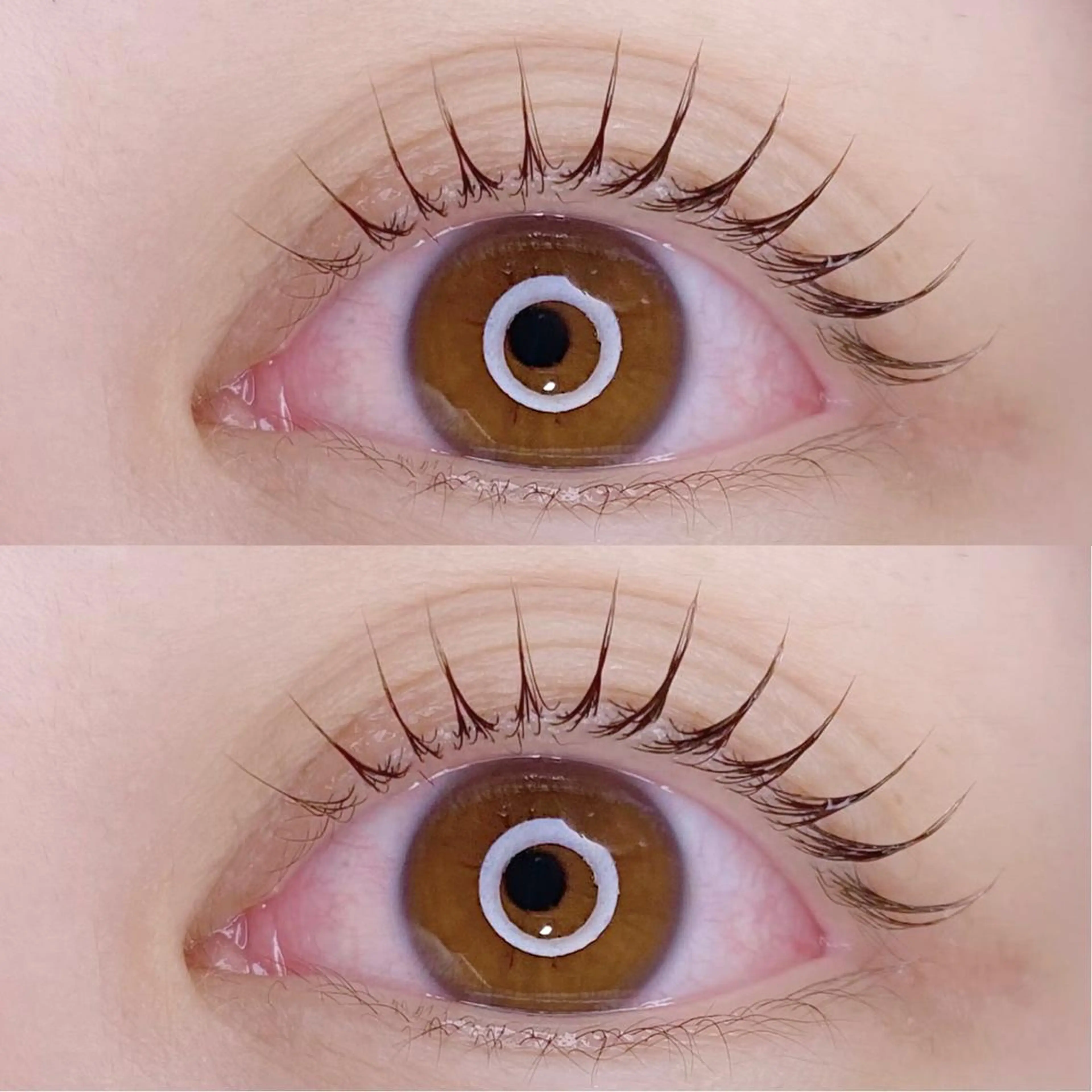 マツエク・マツパ Nancy所属・束感まつげ❤︎ あみのマツエク・マツパデザイン