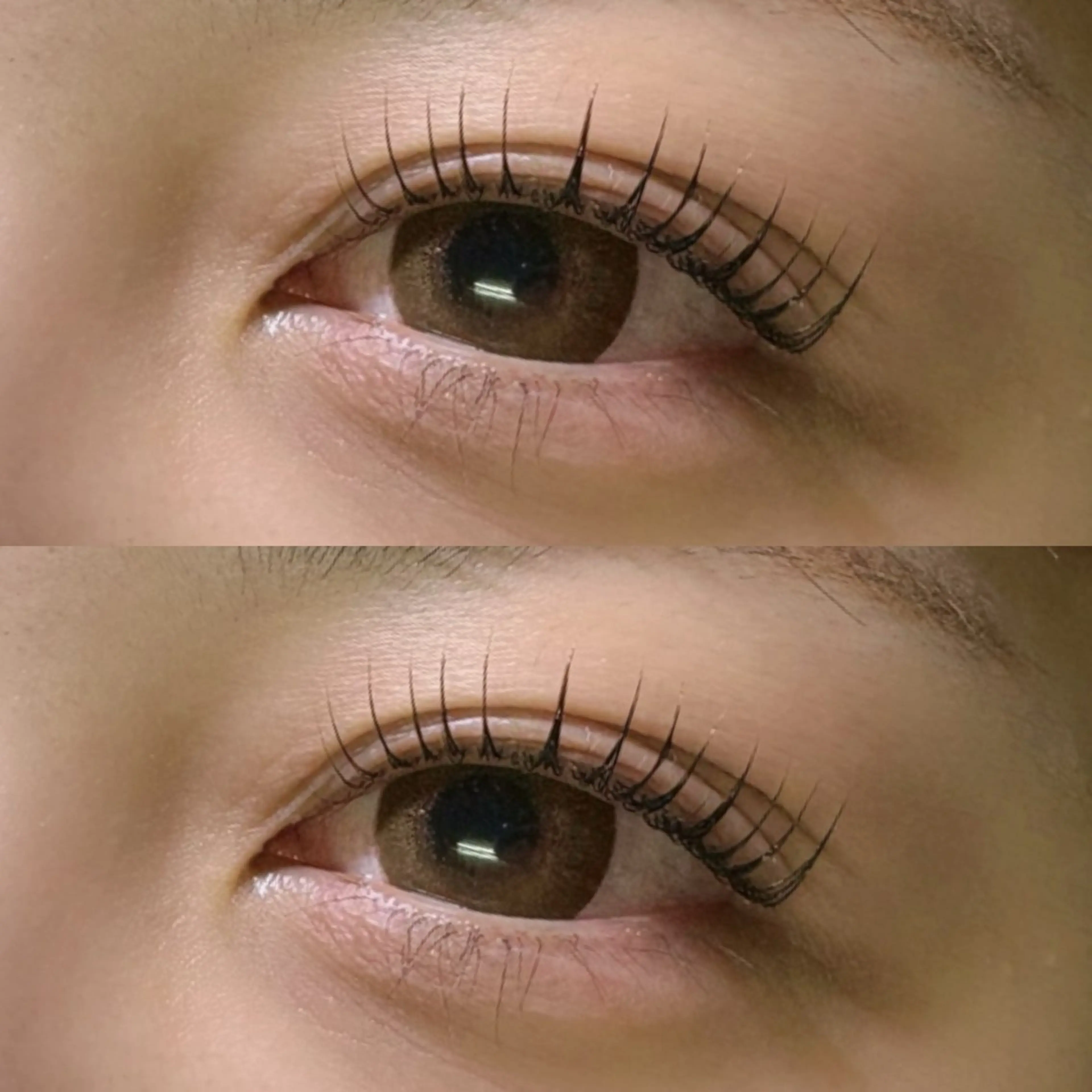 マツエク・マツパ マツパ リフュージュ　隠れ家所属・リフュージュ🌷 カホのマツエク・マツパデザイン