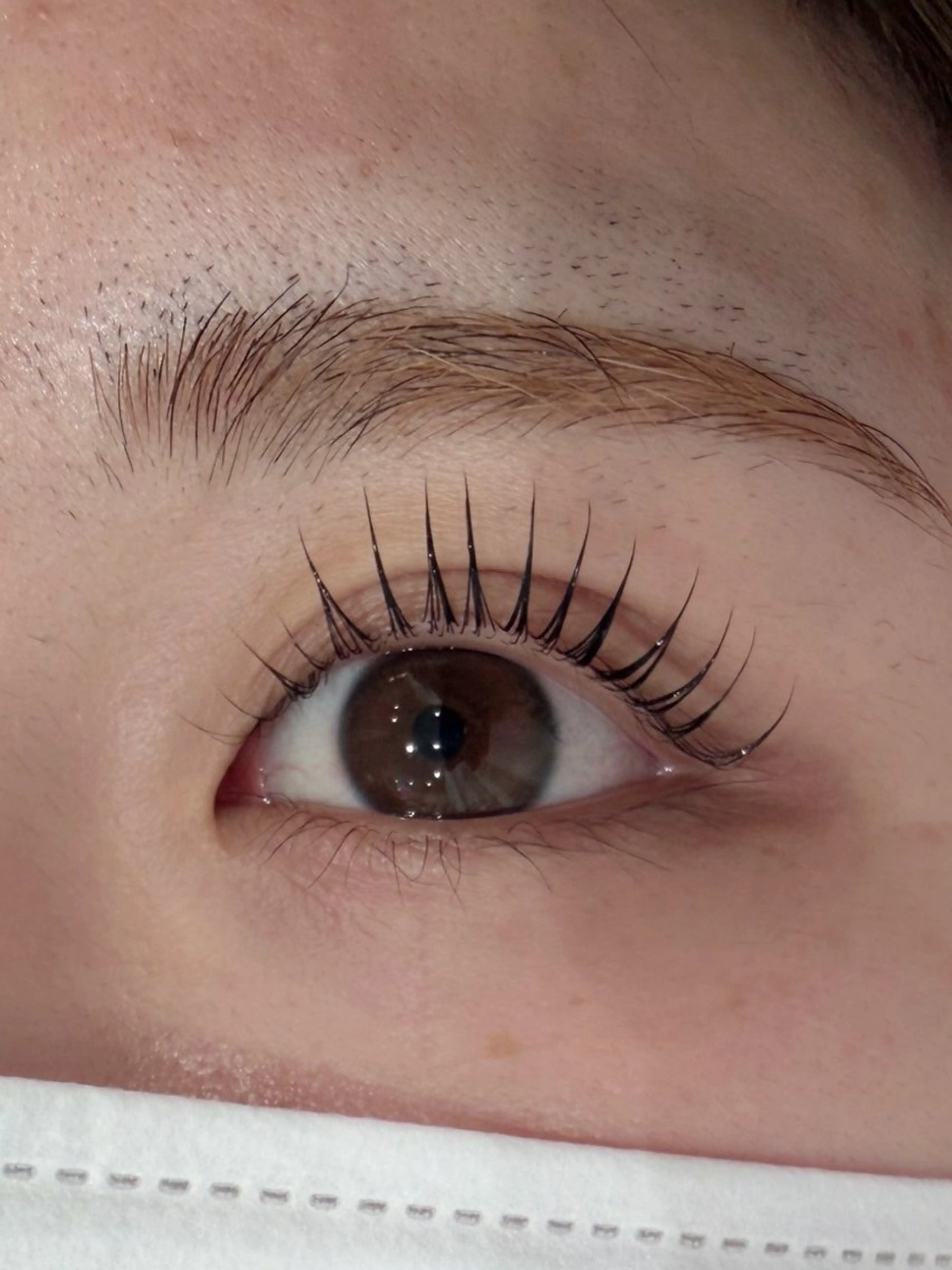 マツエク・マツパ マツパ 🦋MODE K's ema 🦋のマツエク・マツパデザイン