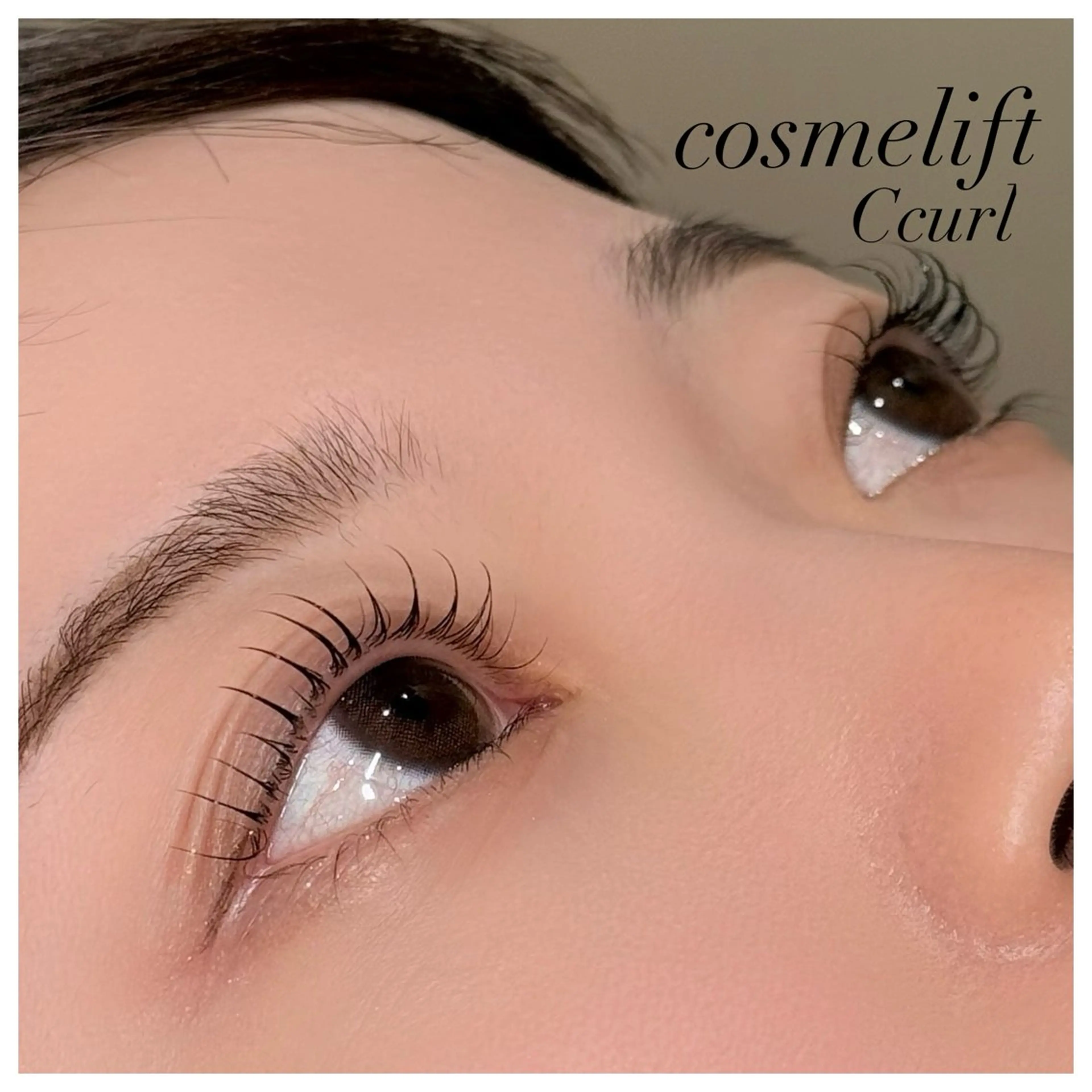 【モデル経験者様限定】リピーターまつ毛パーマ🎀の写真