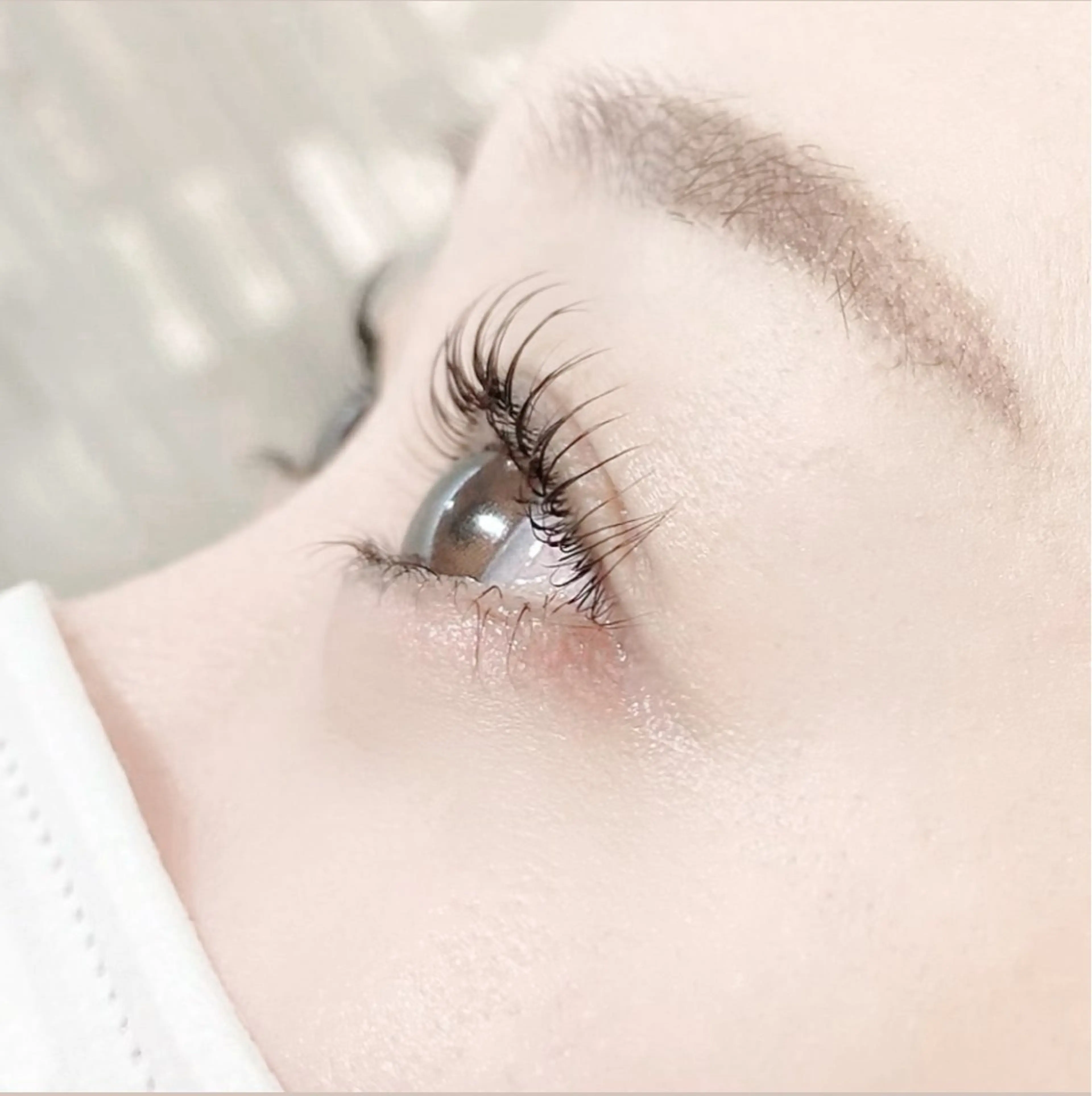 【🫧minimo 限定メニュー🫧】≪🎀本日限定🎀≫眉毛wax＆まつ毛パーマ(セットメニュー✨️)の写真