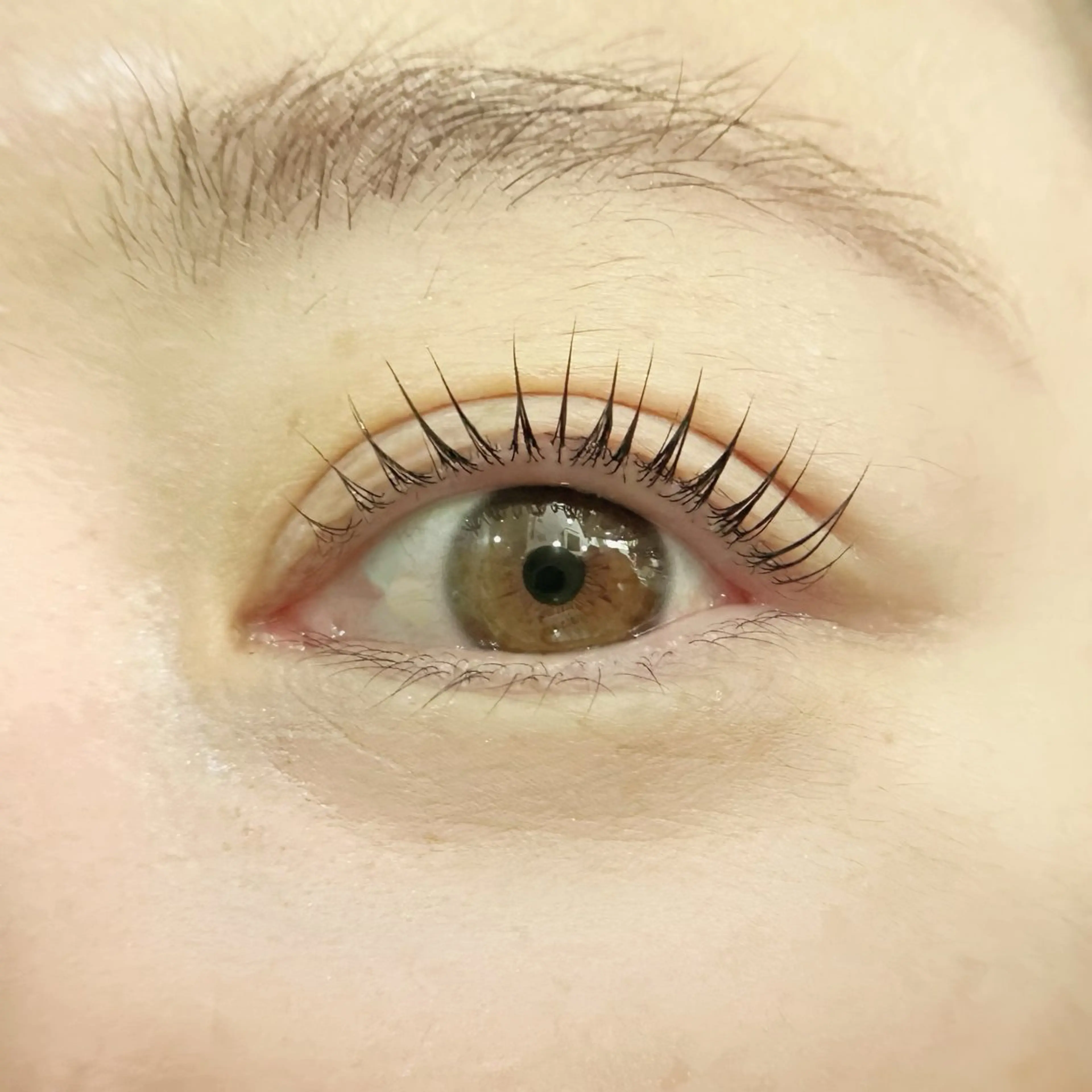 マツエク・マツパ VISIONQUEST所属・✿ chika ♡のマツエク・マツパデザイン