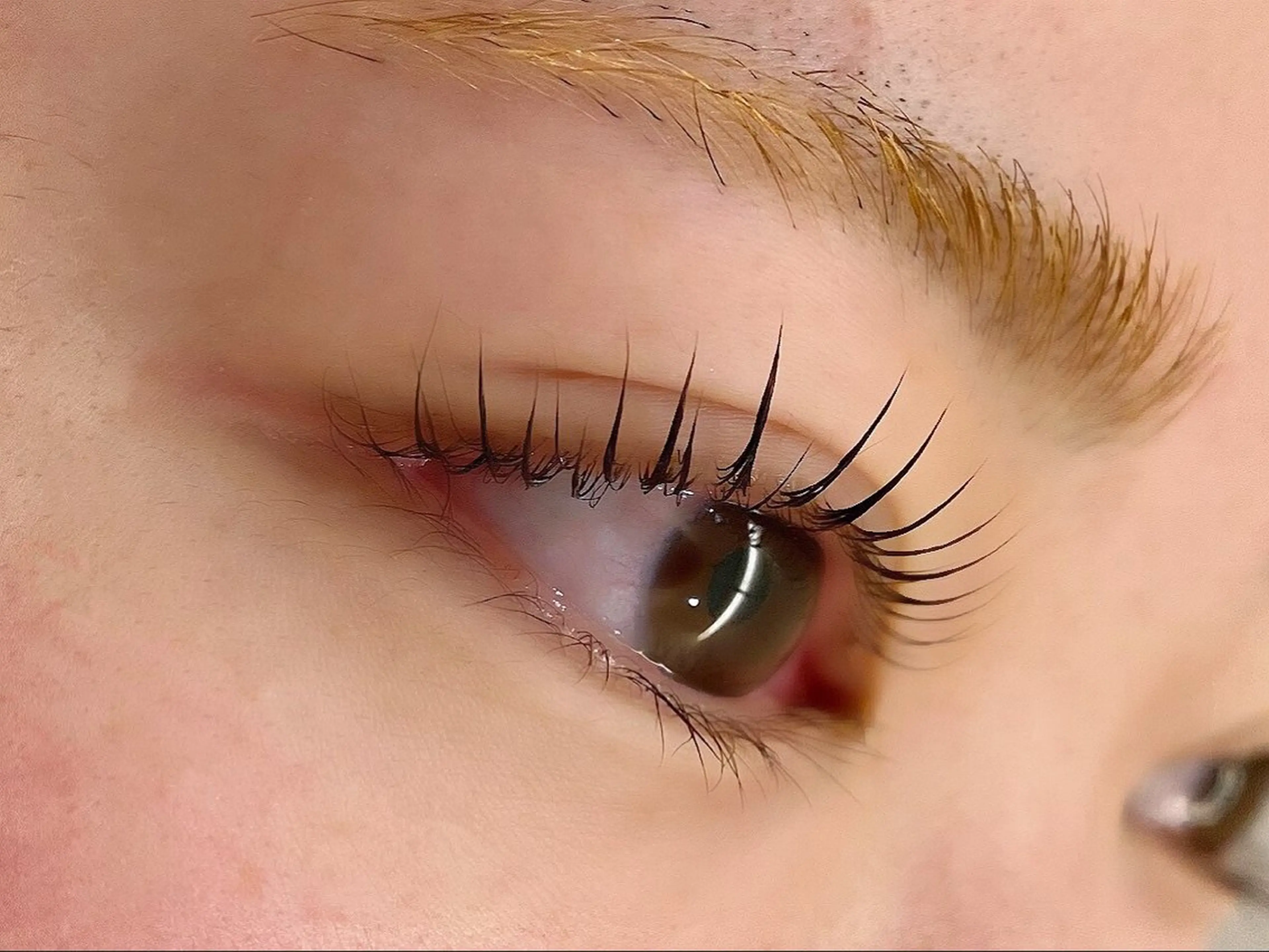 🌞本日限定🌴まつ毛パーマの写真