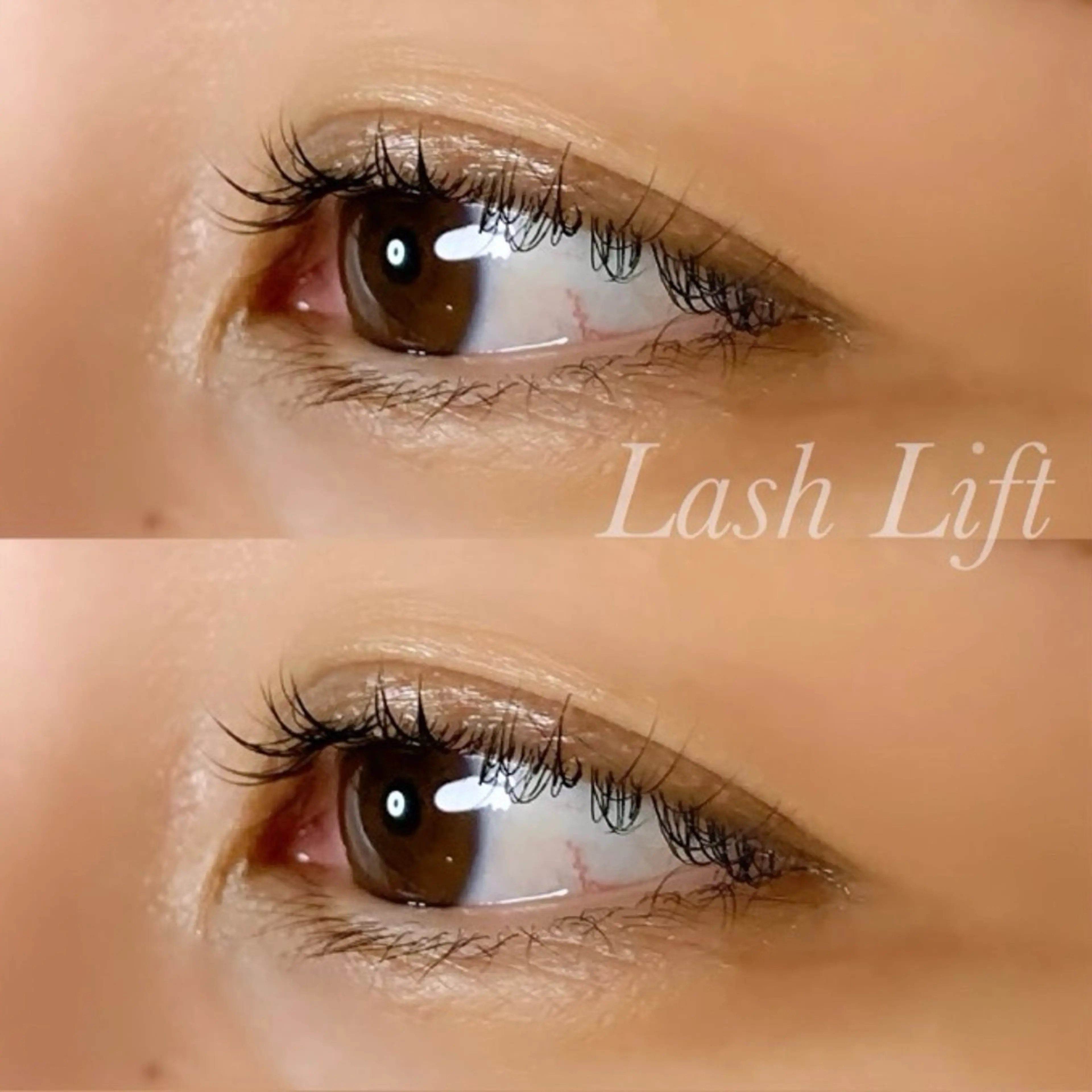 マツエク・マツパ まつげパーマ マツパ Ayumi.pro 🍆N《4階》のマツエク・マツパデザイン