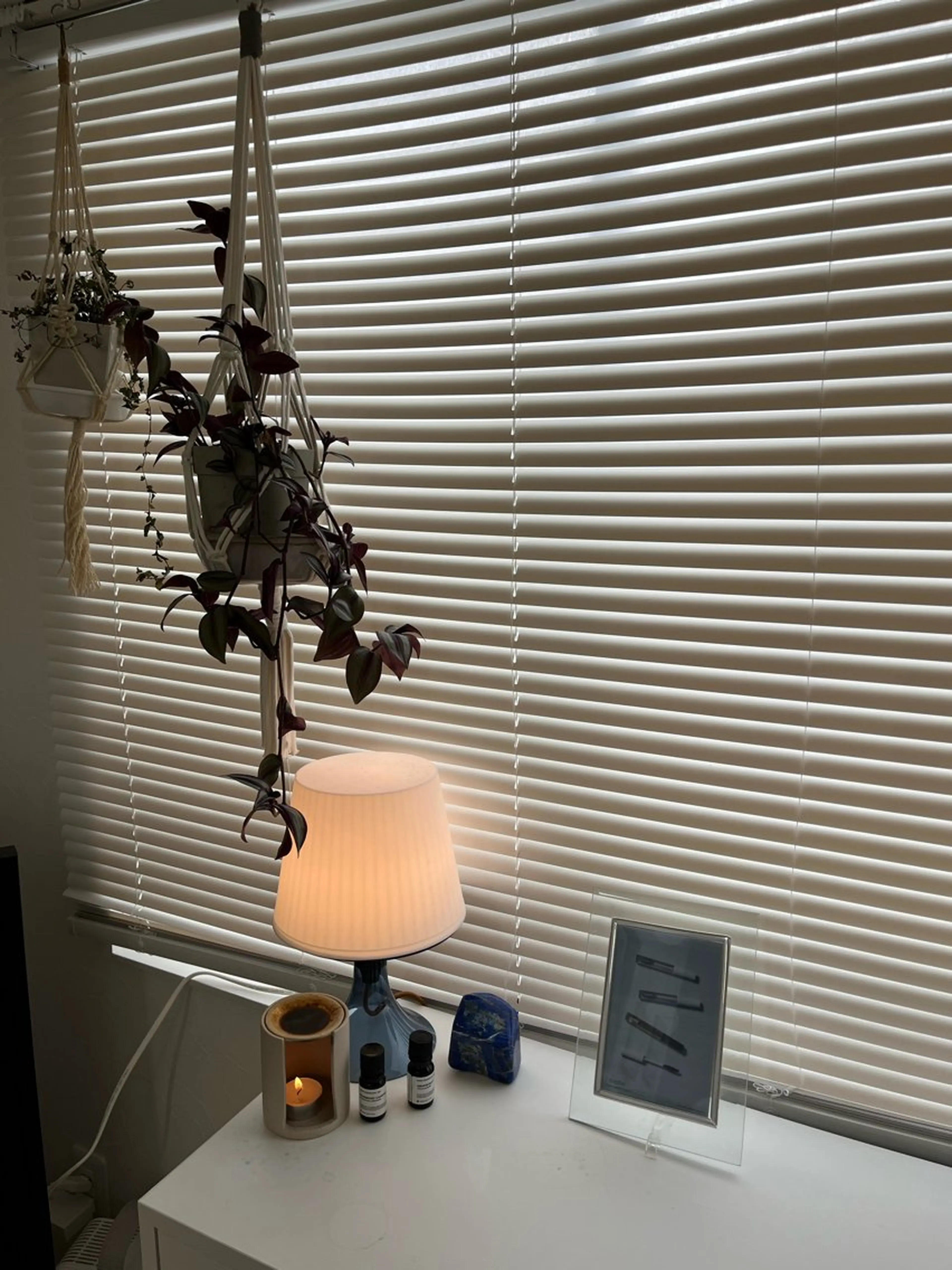 マツエク・マツパ マツパ loji所属・ナチュラル眉サロン 🌿lojiロジの眉毛・アイブロウイメージ