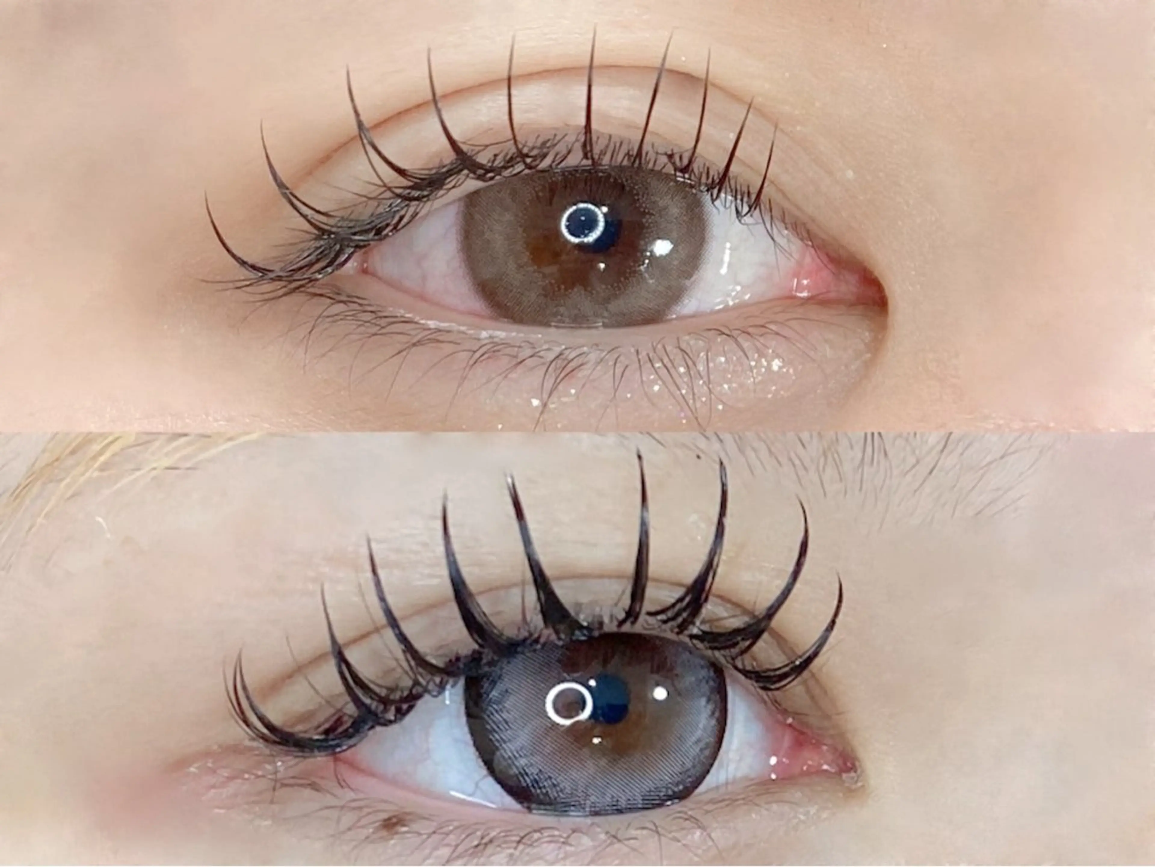 💛超軽量フラットラッシュ140本💛の写真