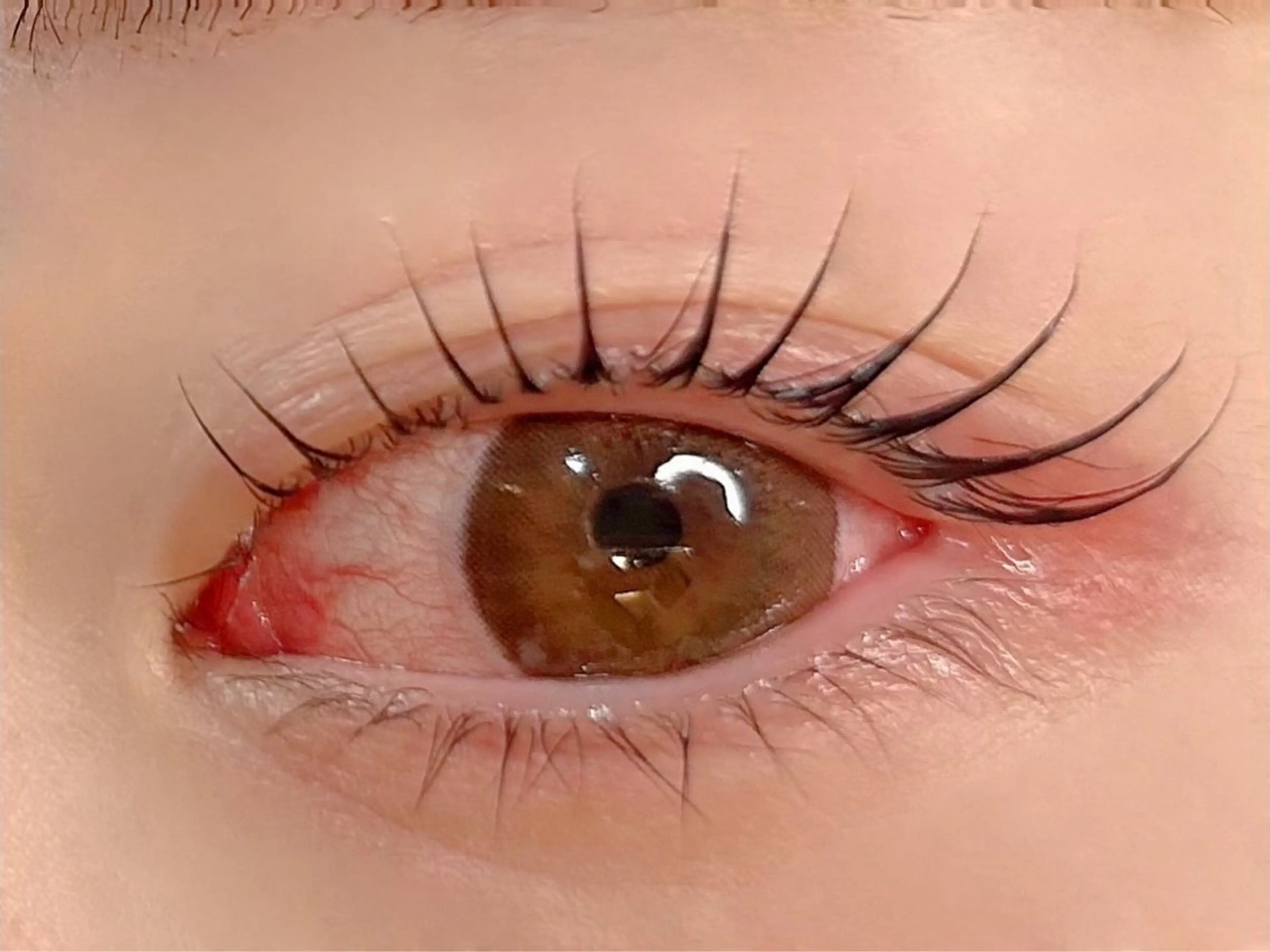 マツエク・マツパ マツパ Fave【フェイブ】 まつパ/眉毛/メンズのマツエク・マツパデザイン