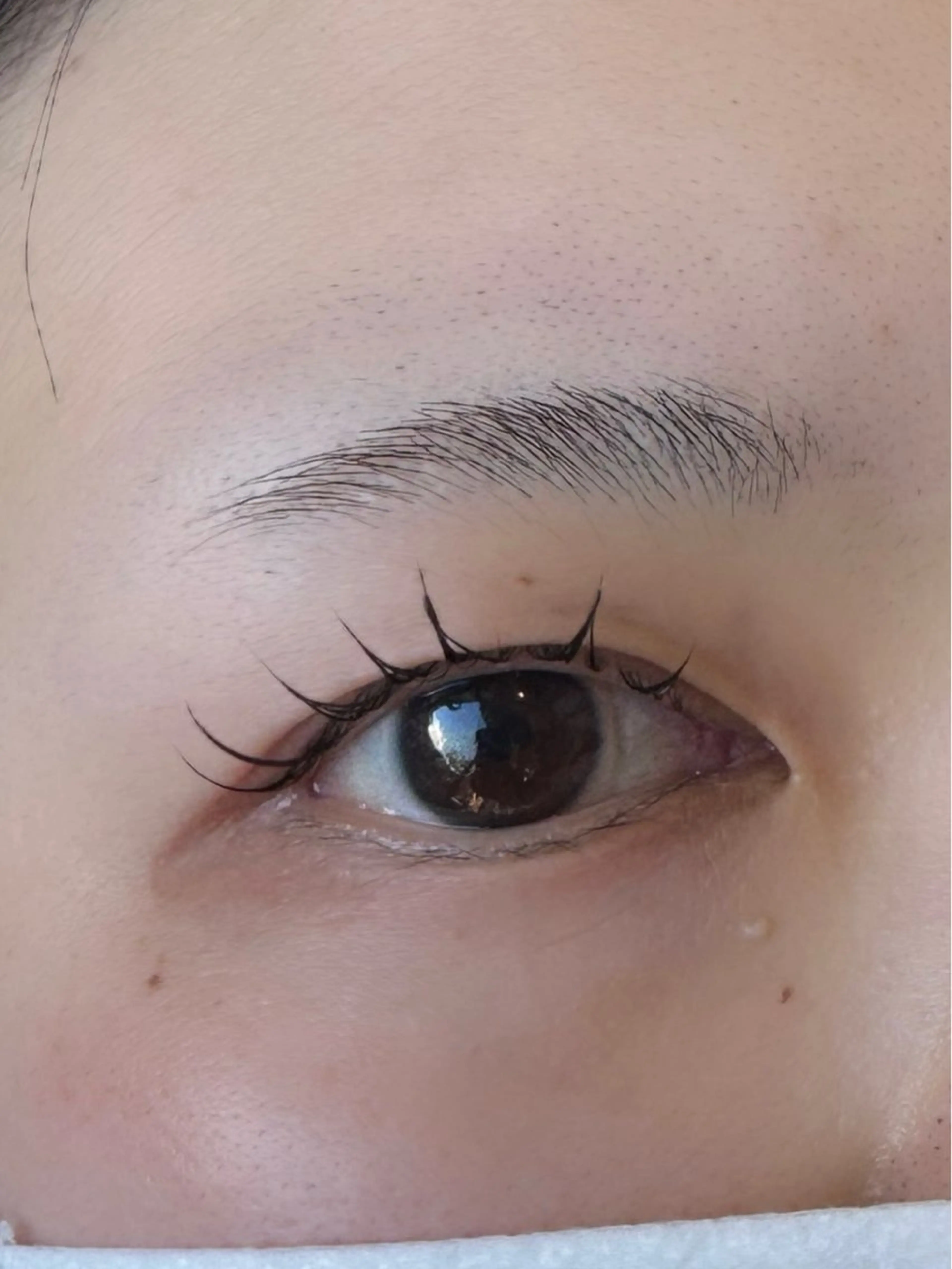 マツエク・マツパ アース上田所属・EarthUeda ASAKA🎀の眉毛・アイブロウイメージ