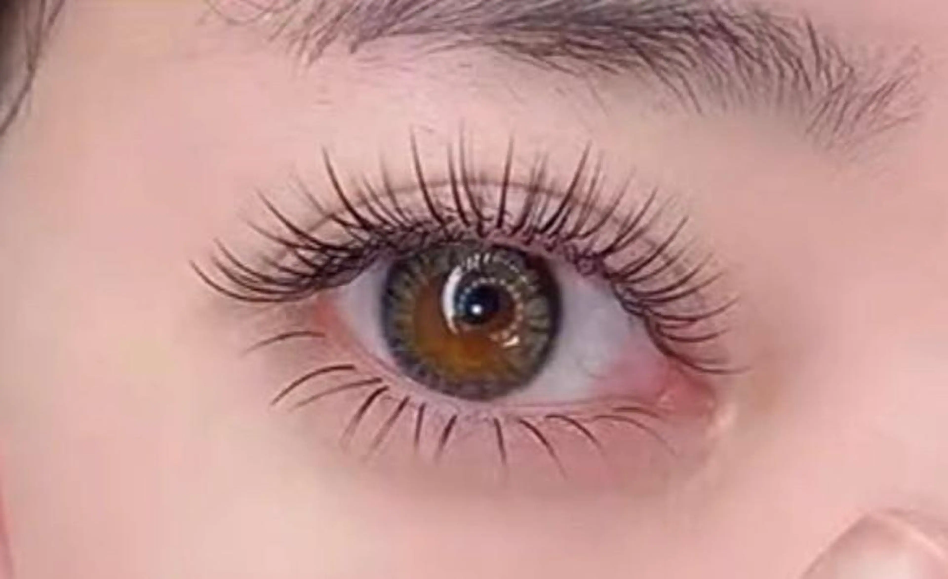 パリエク🦩パリジェンヌ（上まつ毛）+ フラットラッシュ （120本）キープ美容液 🧚🏼の写真