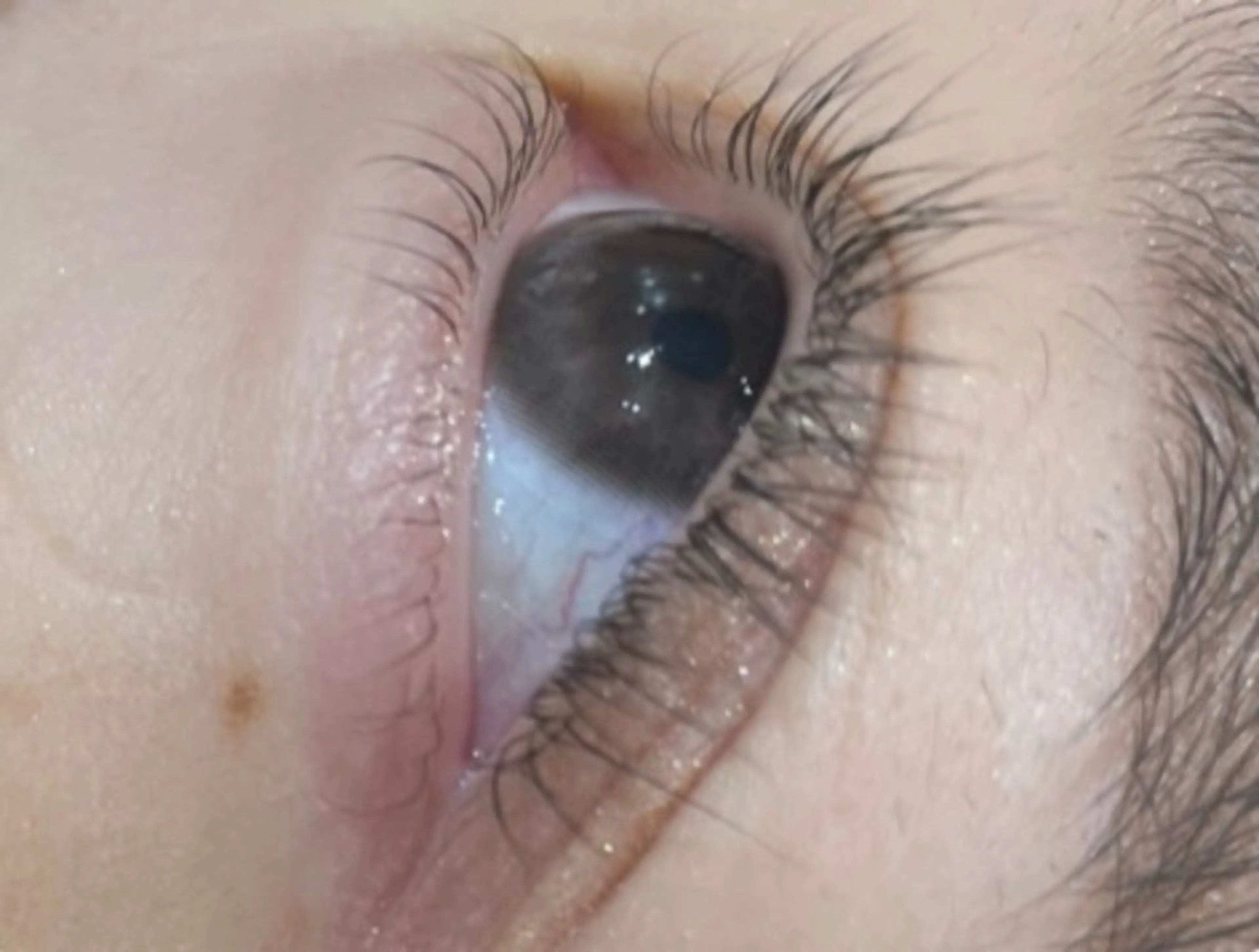 マツエク・マツパ 下まつげエクステ マツモト カナエのマツエク・マツパデザイン