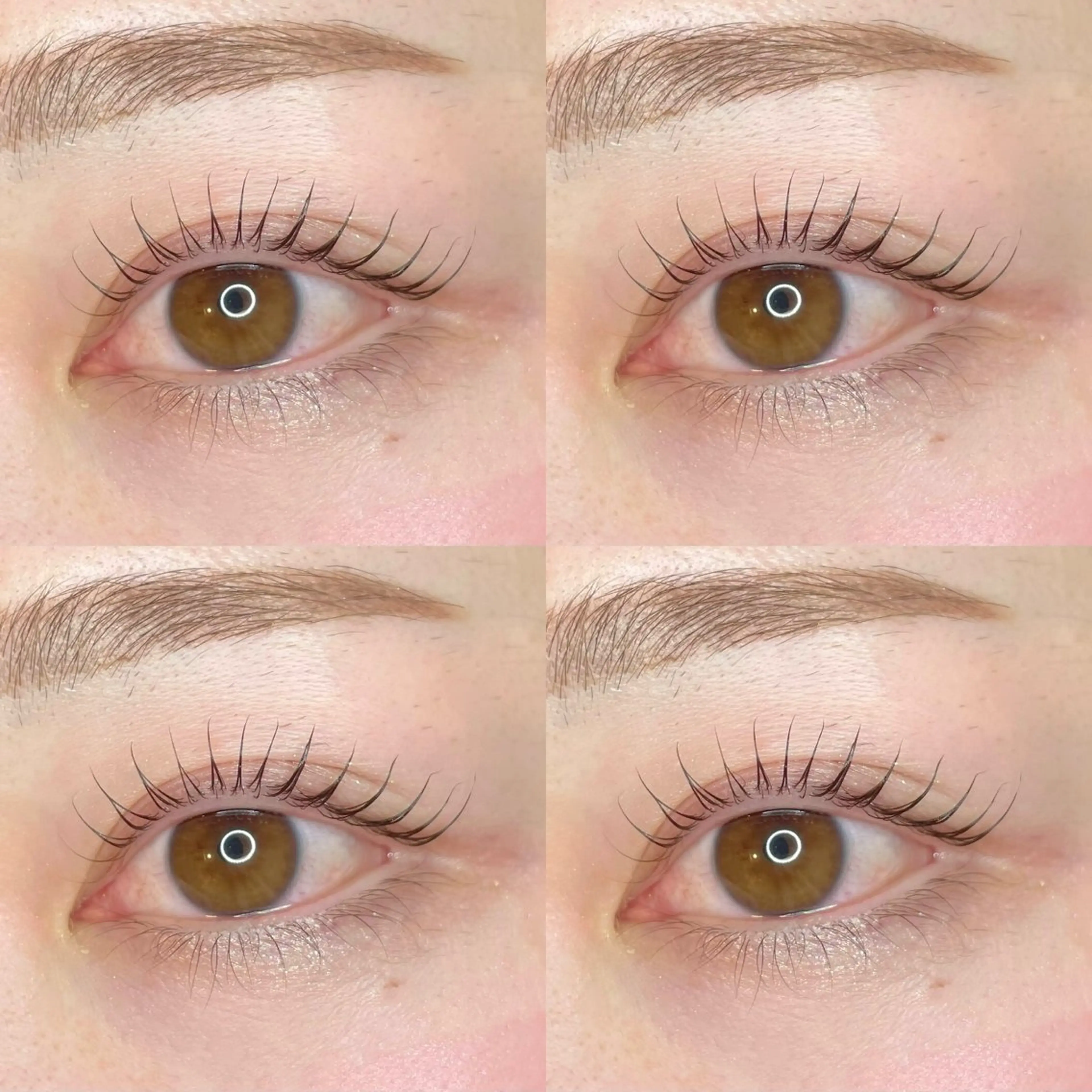 マツエク・マツパ WAVE  beauty  salon所属・WAVE REINAのマツエク・マツパデザイン