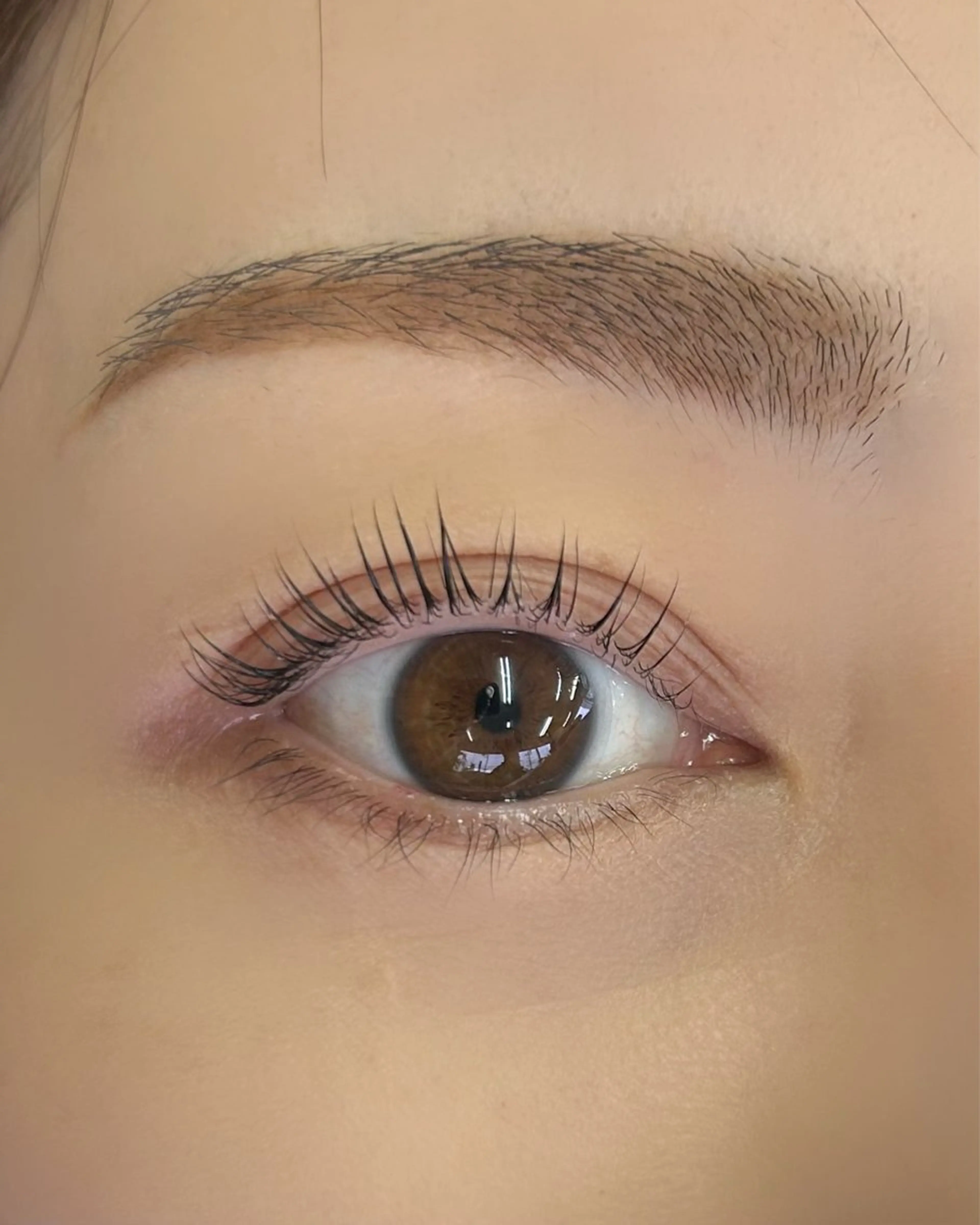 内部補修ラッシュリフトの写真