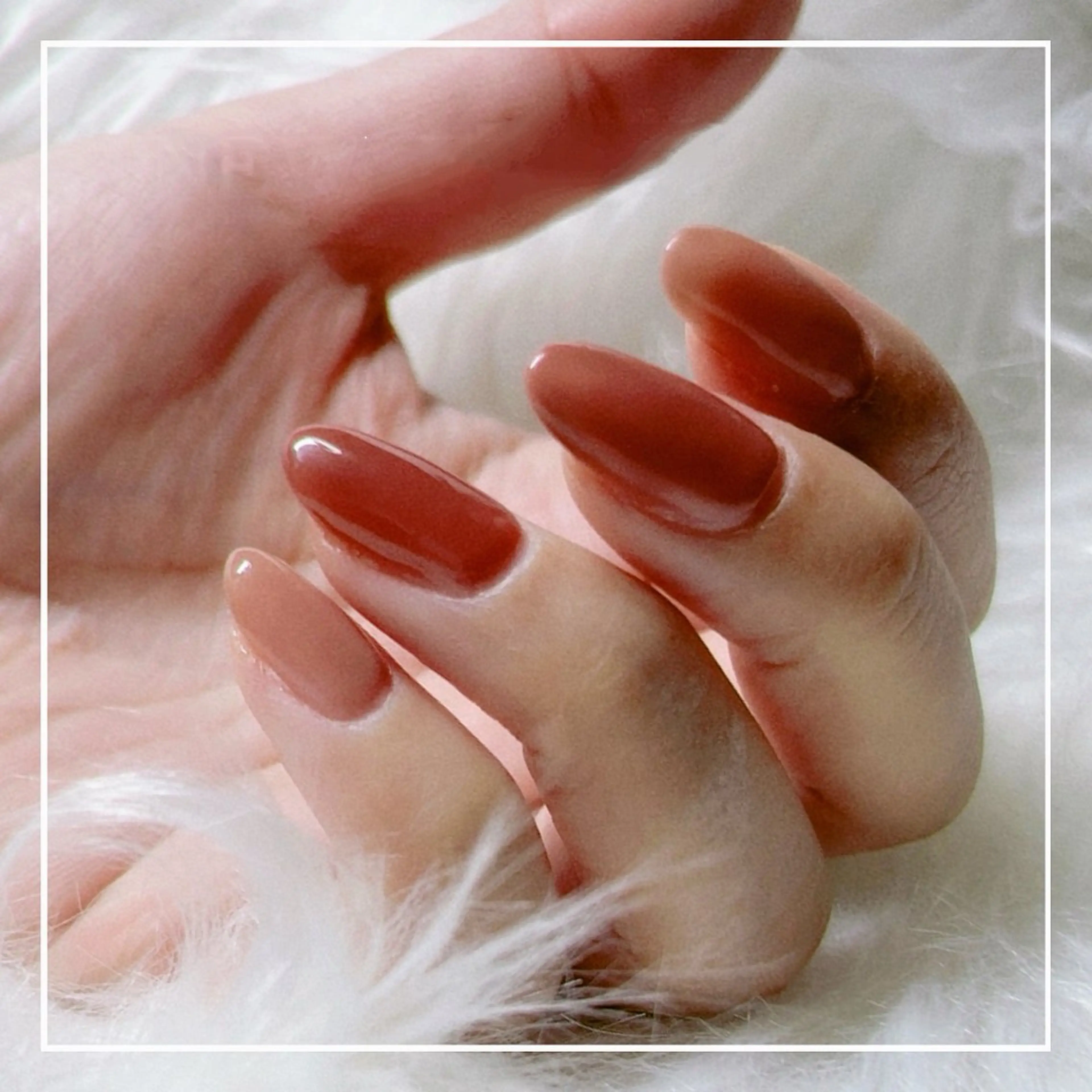 ワンカラー（オフなし）の写真