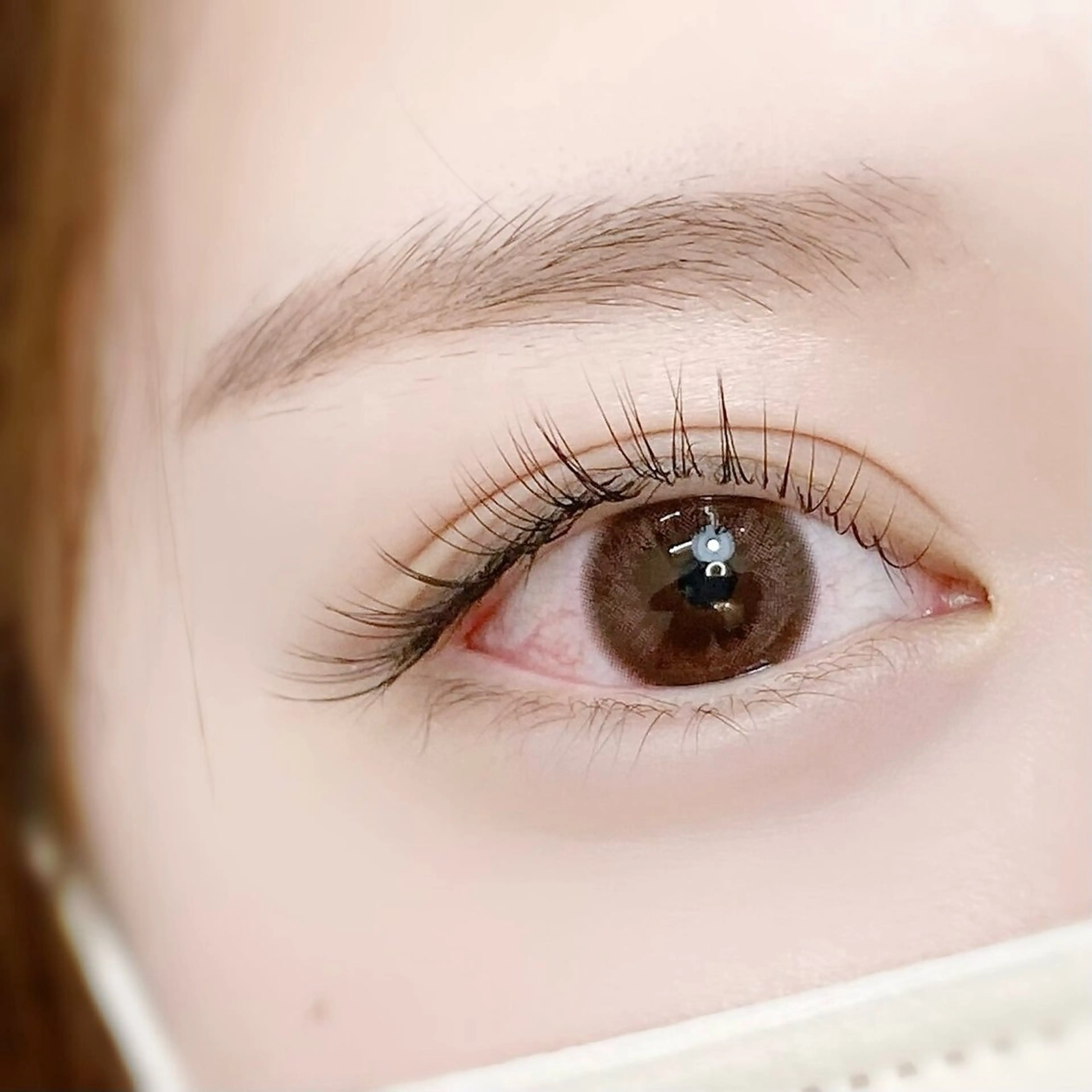 【オフあり】セーブル120本の写真