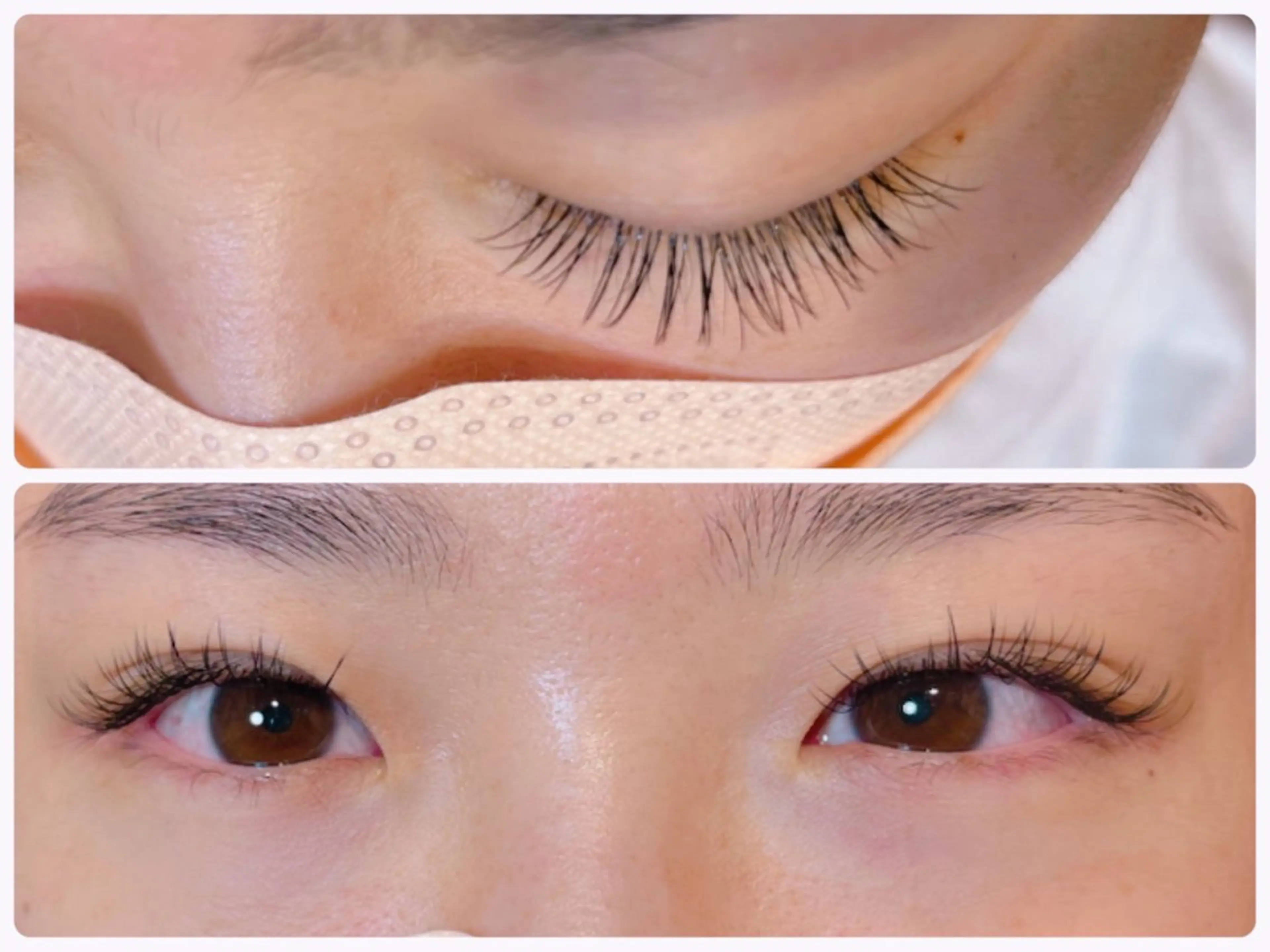 マツエク・マツパ フラットラッシュ 𝐞𝐢𝐠𝐡𝐭 MAO🖤の眉毛・アイブロウイメージ