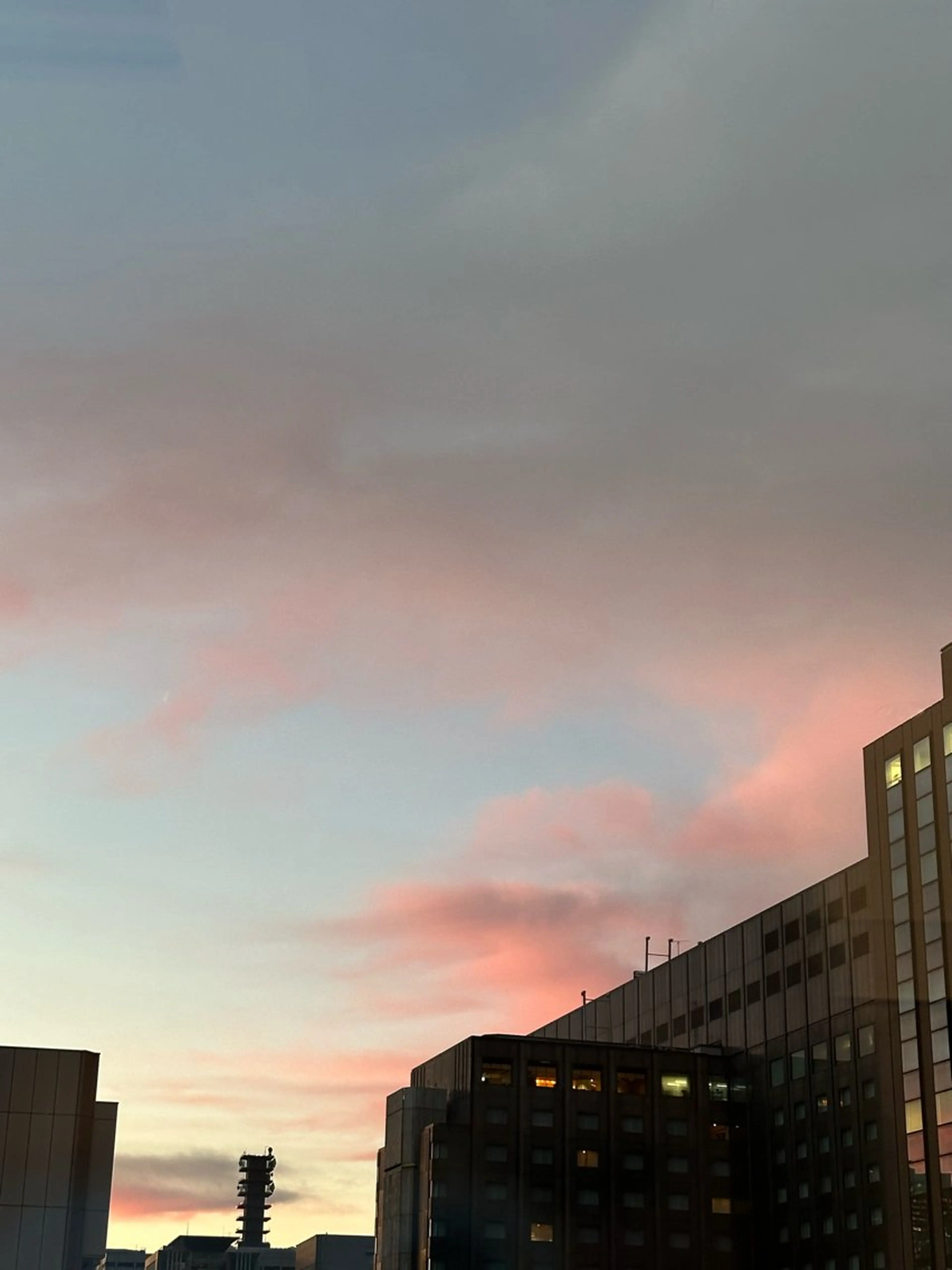 カラー パーマ ブリーチ ダブルカラー ストレートパーマ 和田 あおいのヘアスタイル