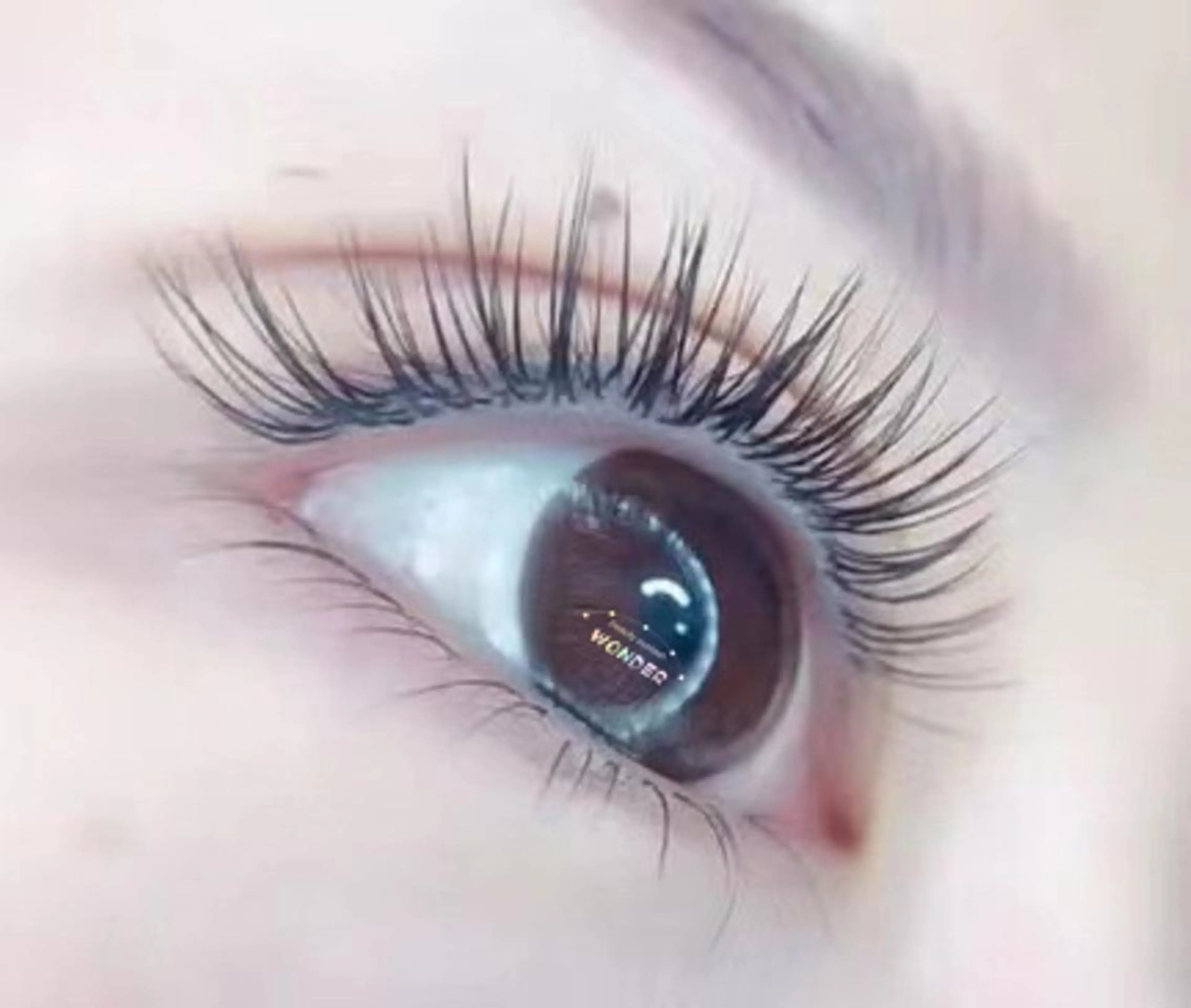 マツエク・マツパ トータルビューティー サロンワンダーのマツエク・マツパデザイン