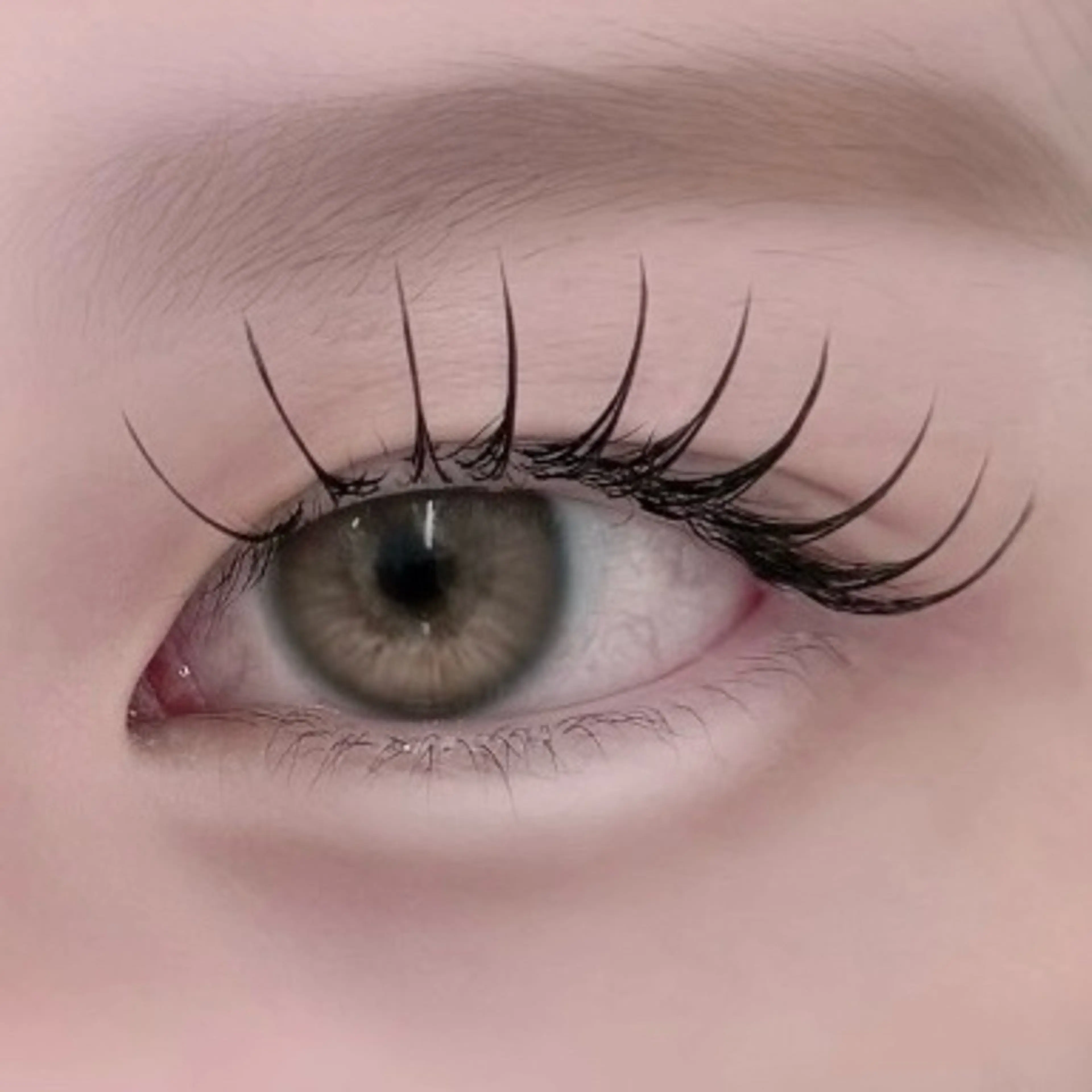 【限定価格】フラットラッシュ100本✨🎀〈オフ込・コーティング付〉の写真