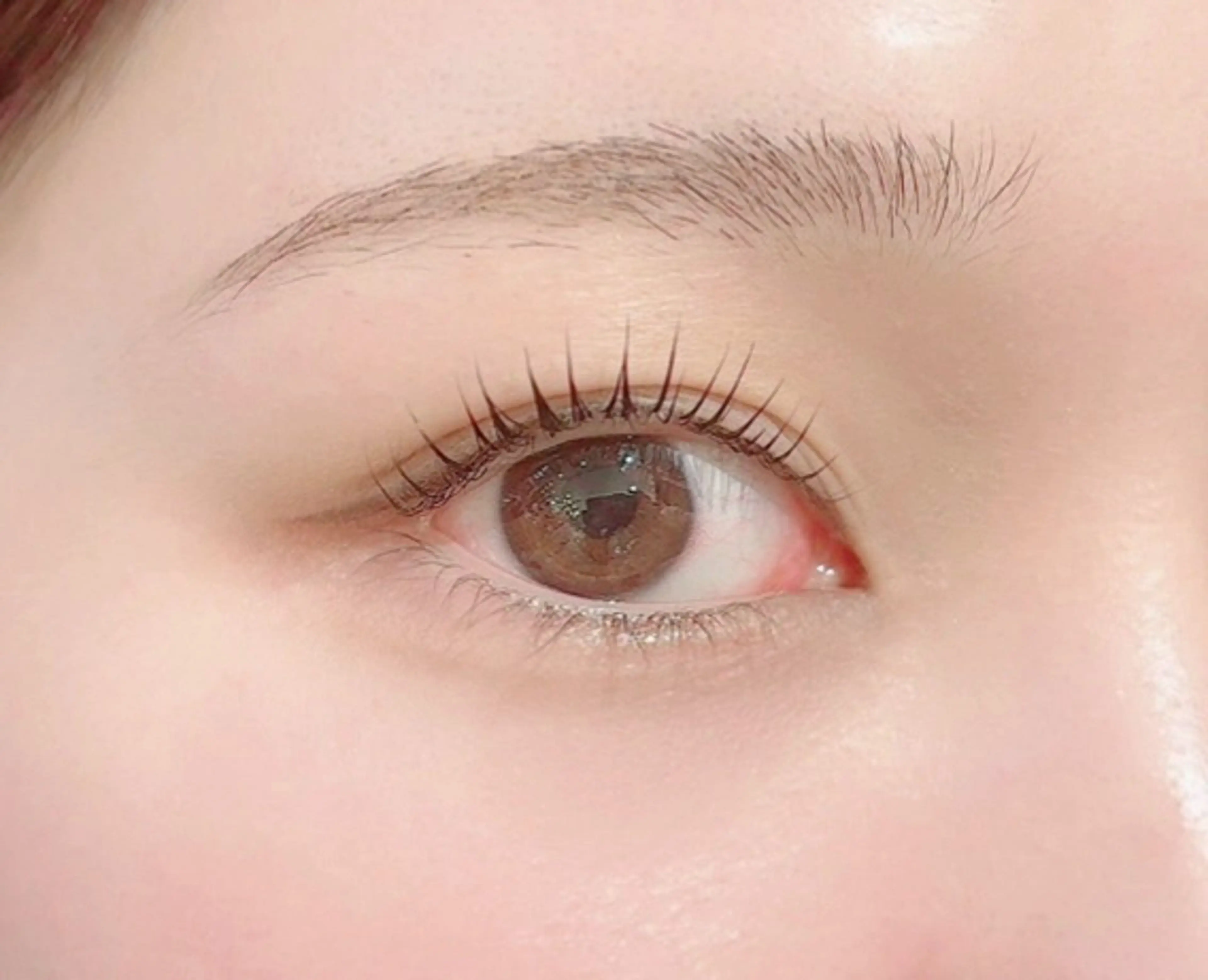 🆕マスカララッシュリフト🩰🌸トリートメント付き🪄の写真