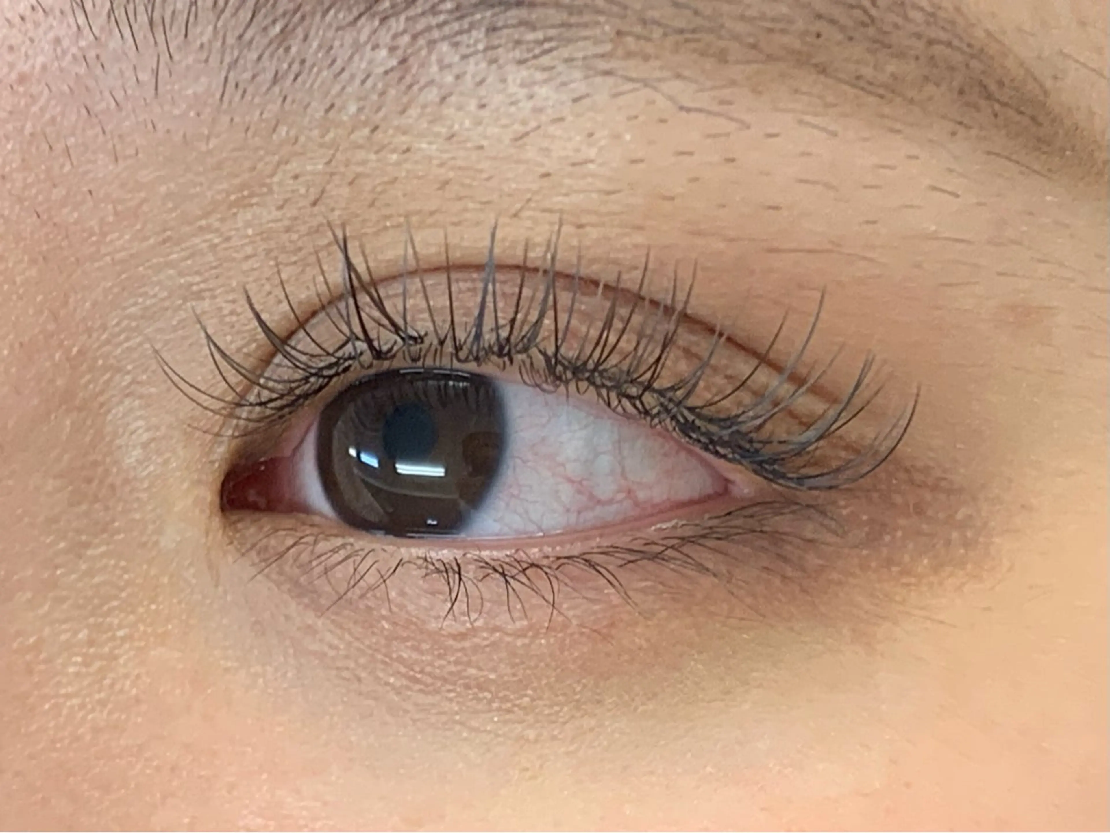 【オフあり】ブラウンカラー100本💐の写真