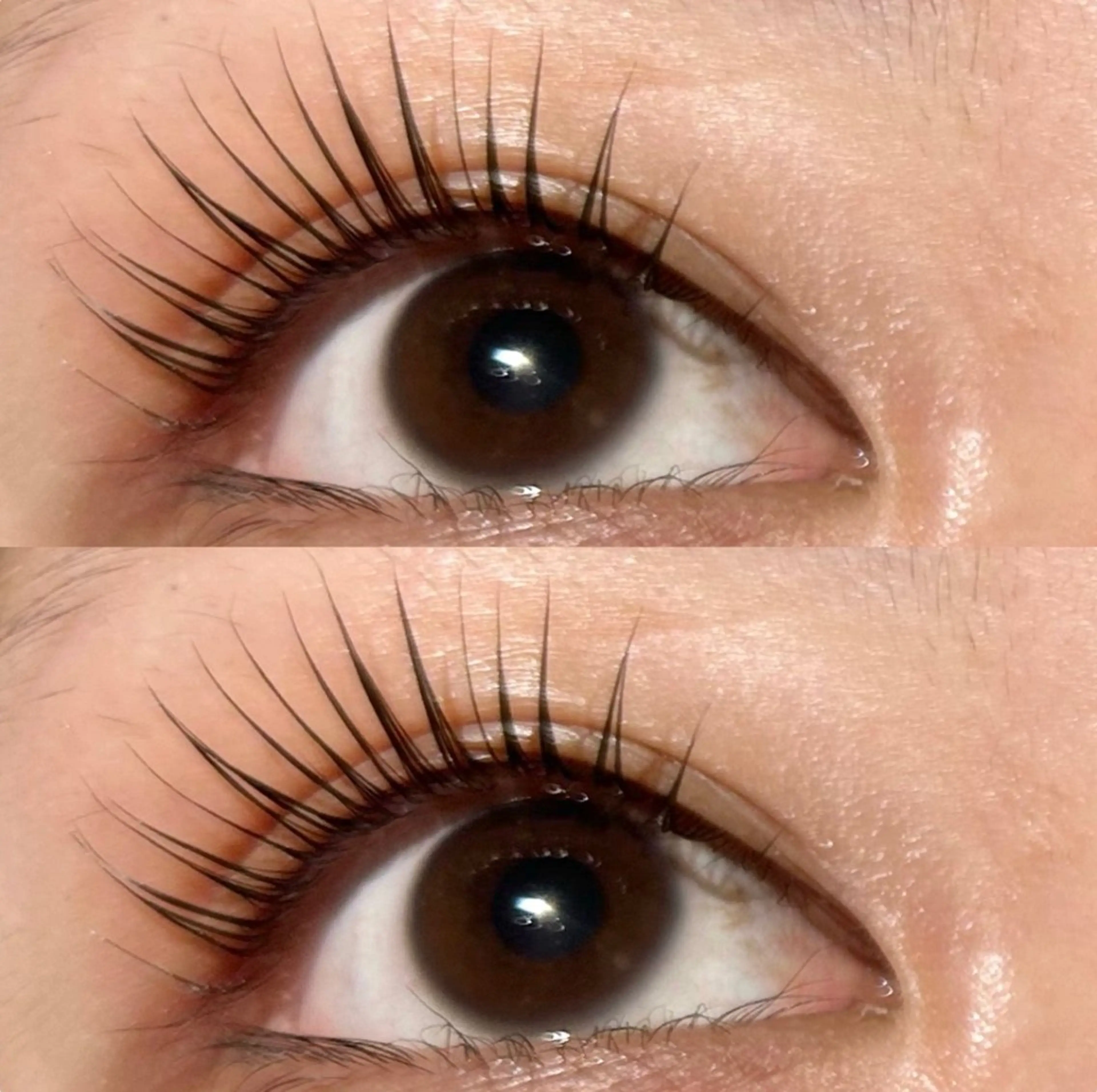 マツエク・マツパ パリジェンヌラッシュリフト メンズ/ボブ/パーマ /くるみのマツエク・マツパデザイン