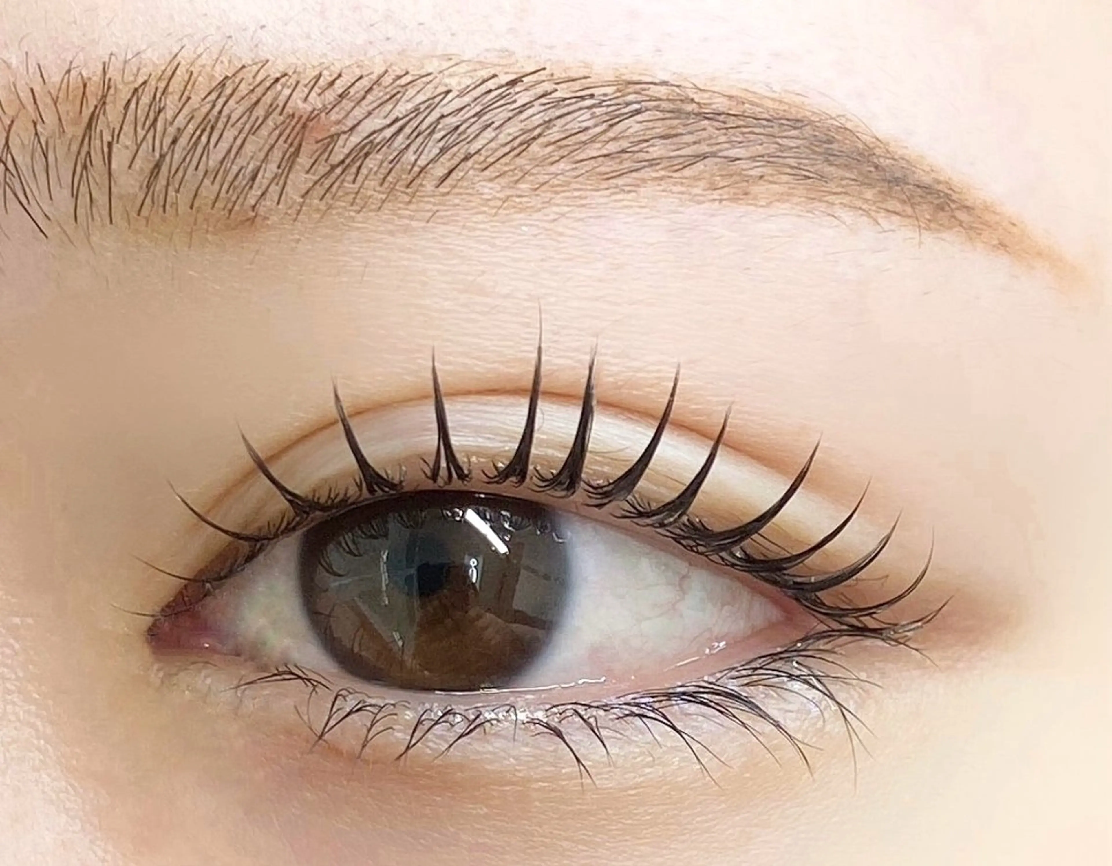 ゲリラクーポン！！人気店のまつぱ4000円→→→3,000円！！！リピーター様OK🙆‍♀️の写真