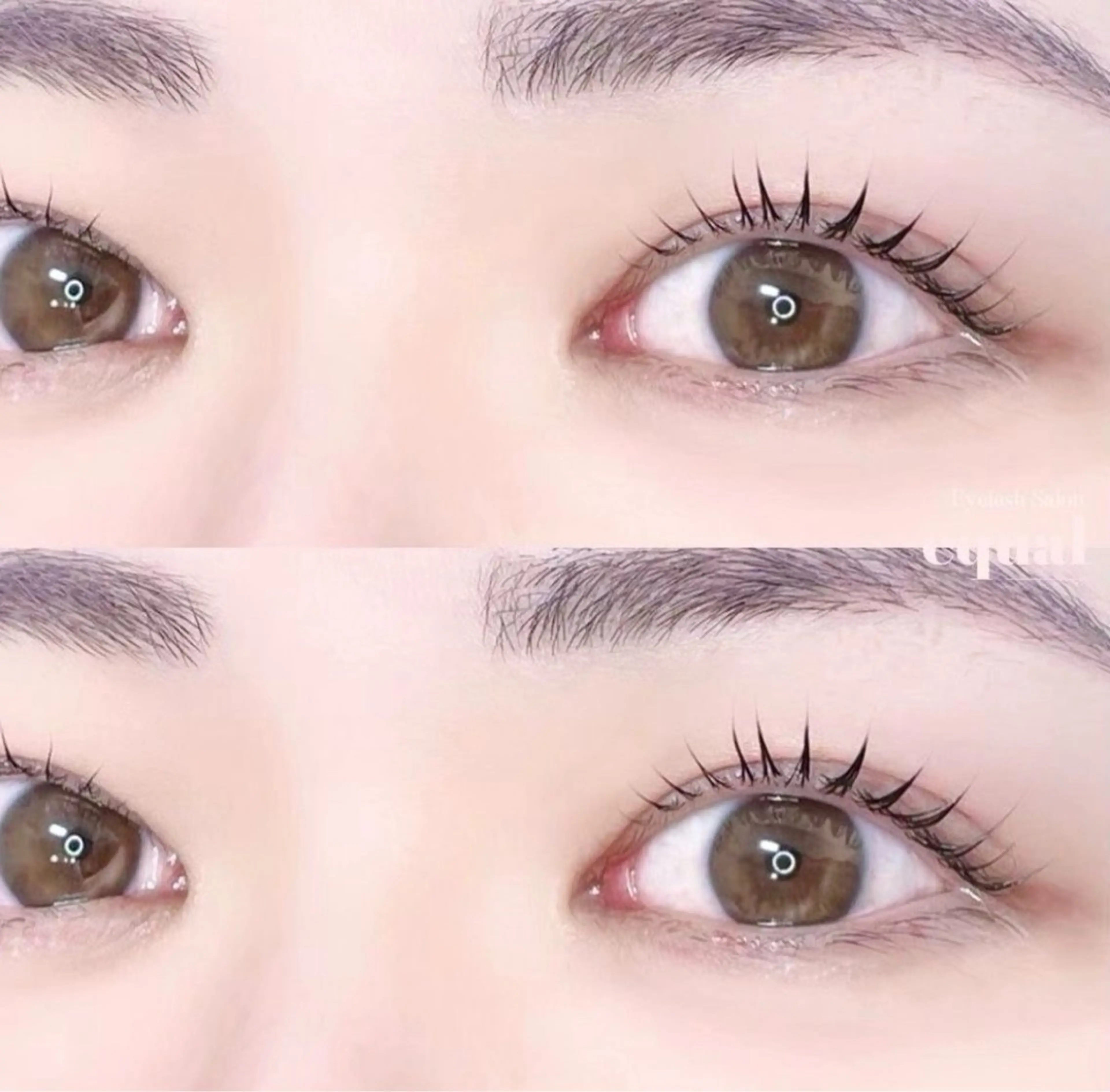 マツエク・マツパ hiyori /透明 感ピンク/ラベンダーのマツエク・マツパデザイン