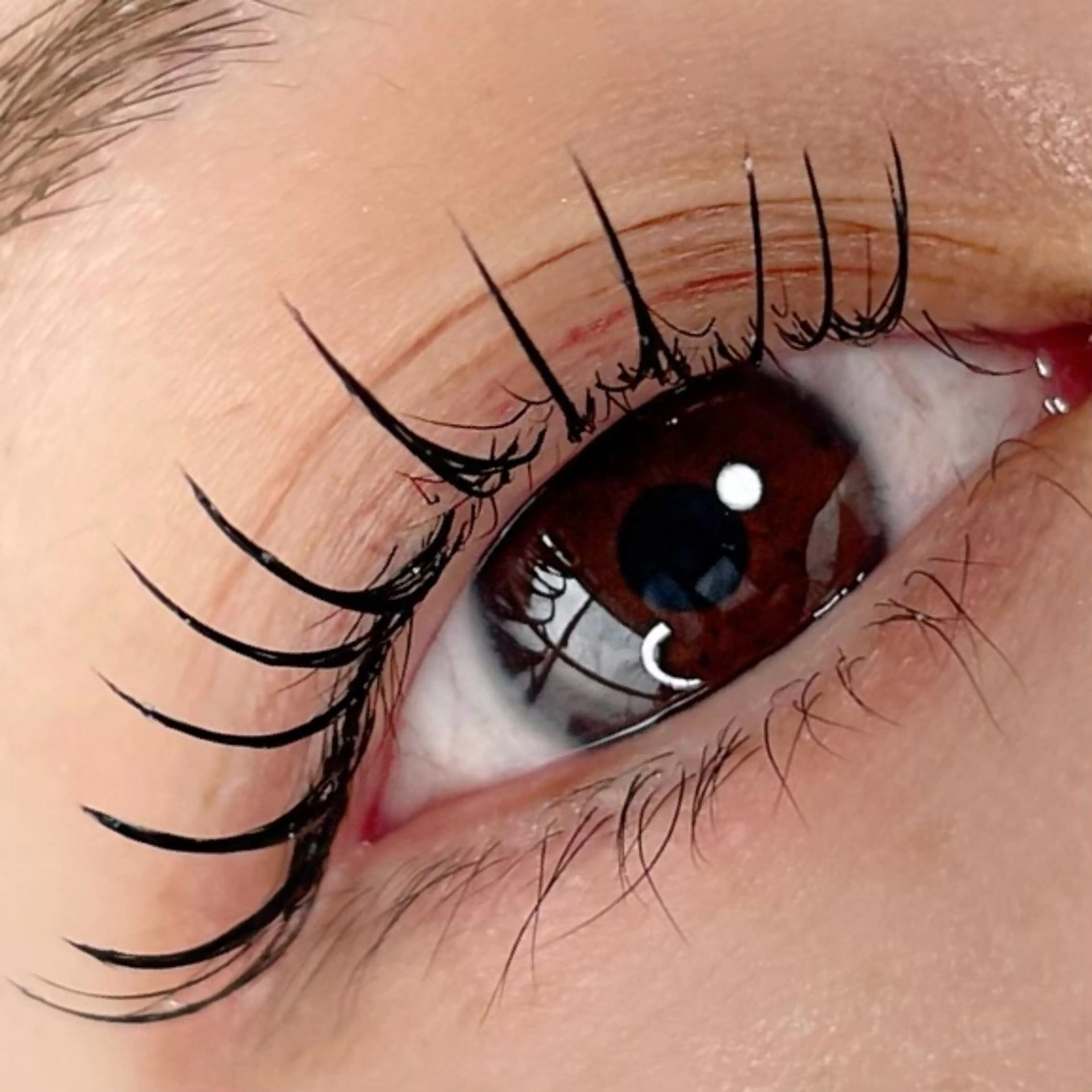 【カシミア級フラットラッシュ100本】オフ無料/LED+¥1.500の写真