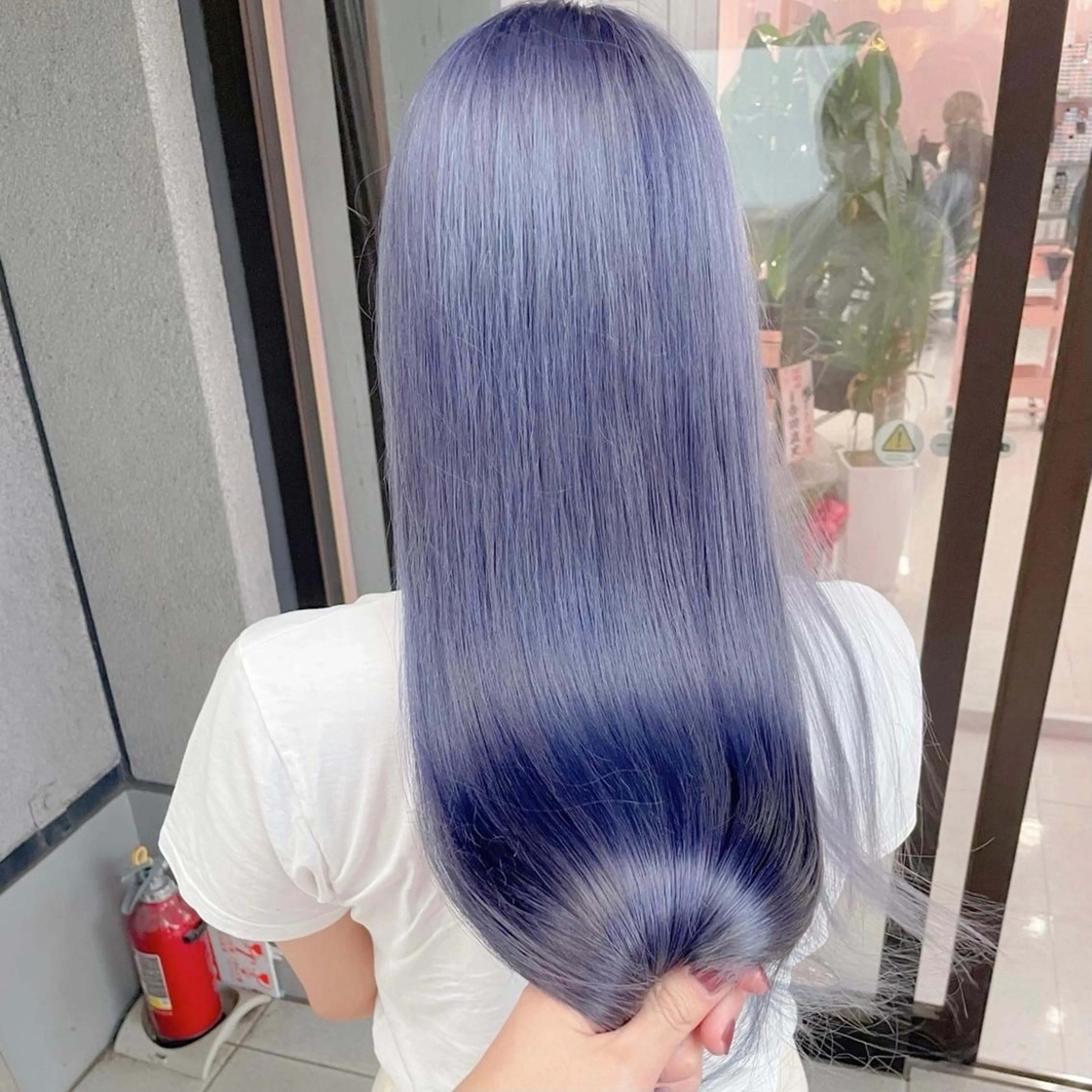 カラー アッシュ アッシュグレー アッシュグレージュ バレイヤージュ ミストバング デザインカラー MIKU🦋のヘアスタイル