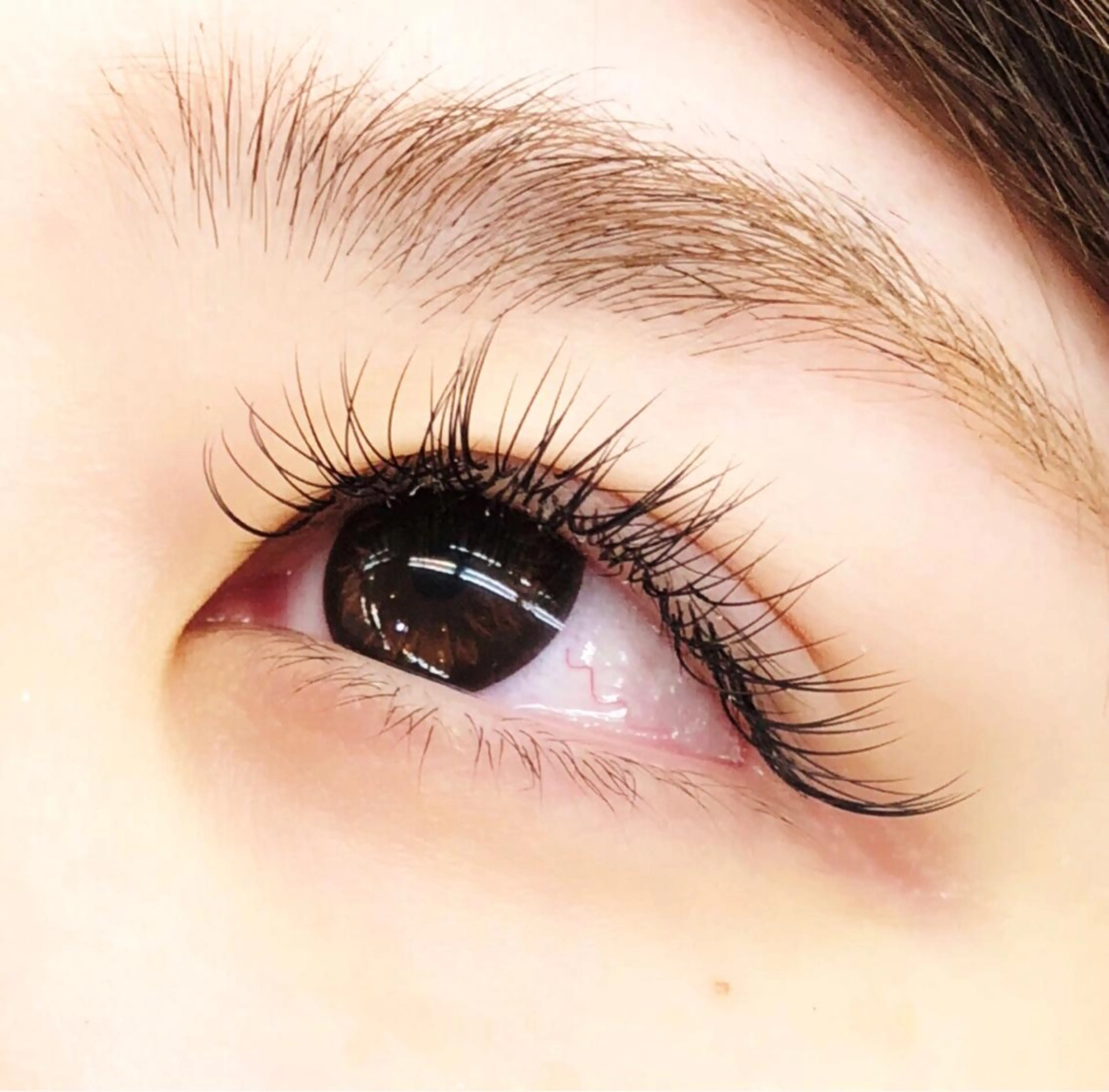 マツエク・マツパ Baby step.nのマツエク・マツパデザイン