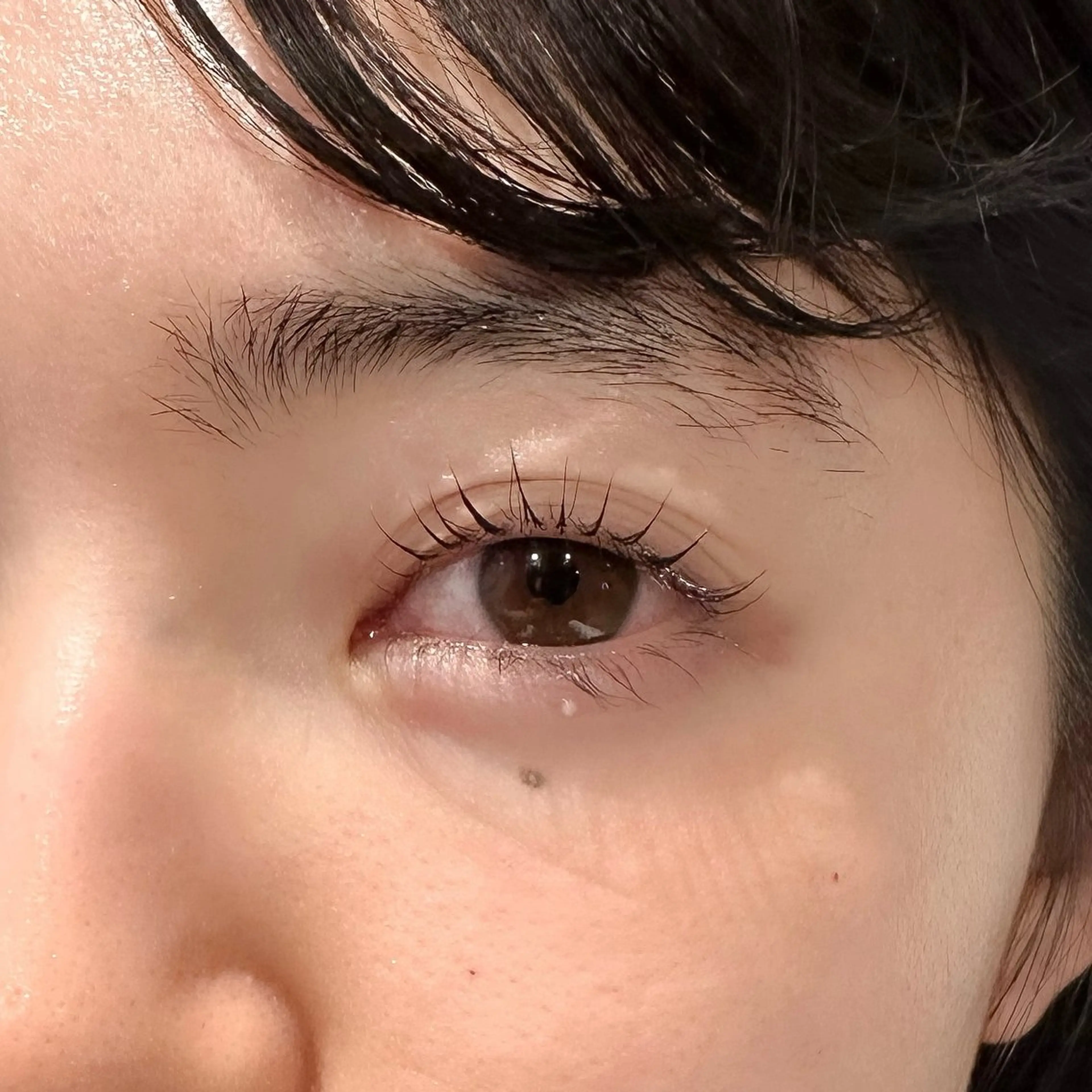 マツエク・マツパ 眉毛/パリジェンヌ/ hinata🌼の眉毛・アイブロウイメージ