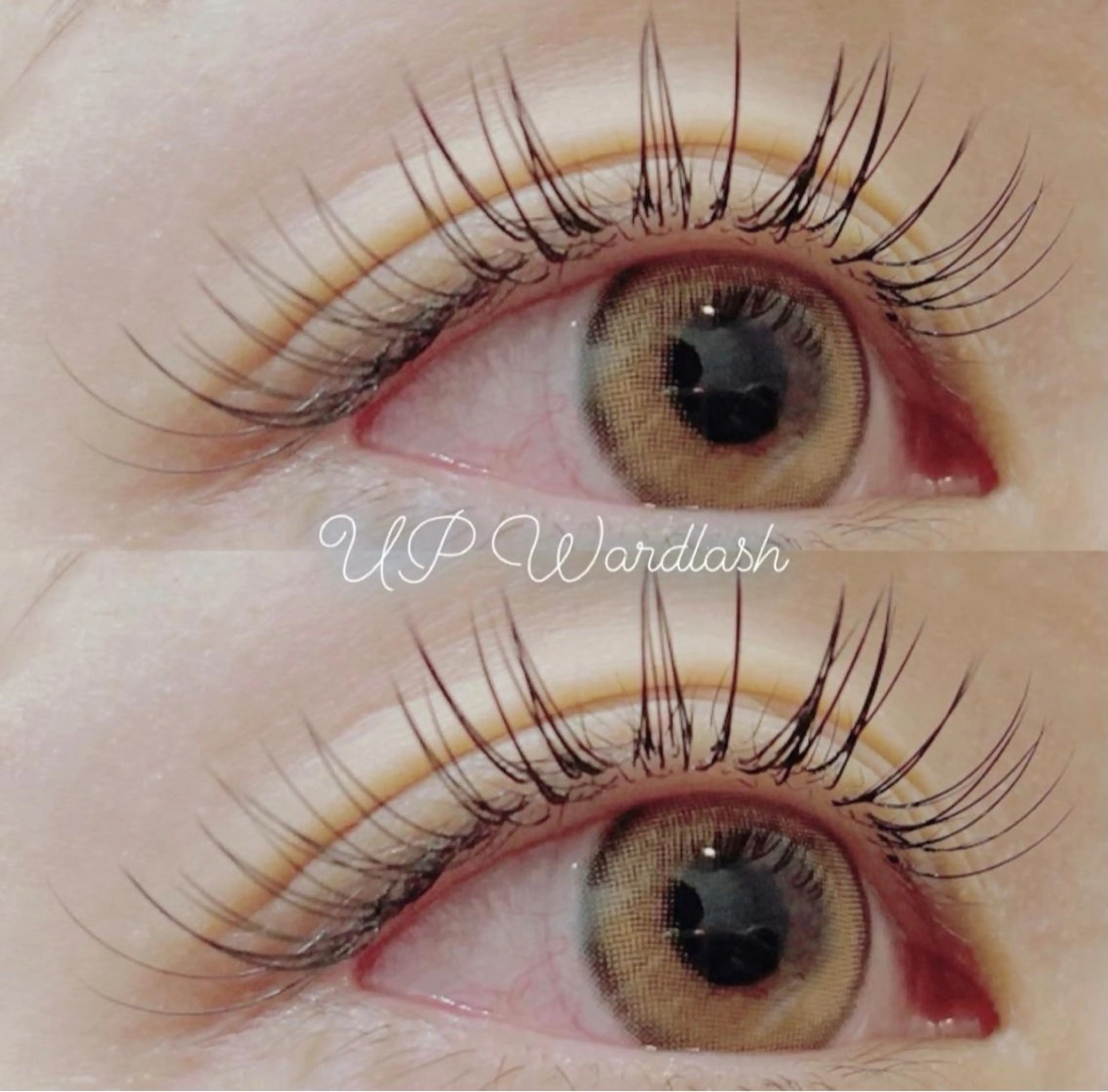 マツエク・マツパ MAQUIA富士店 丹羽の眉毛・アイブロウイメージ