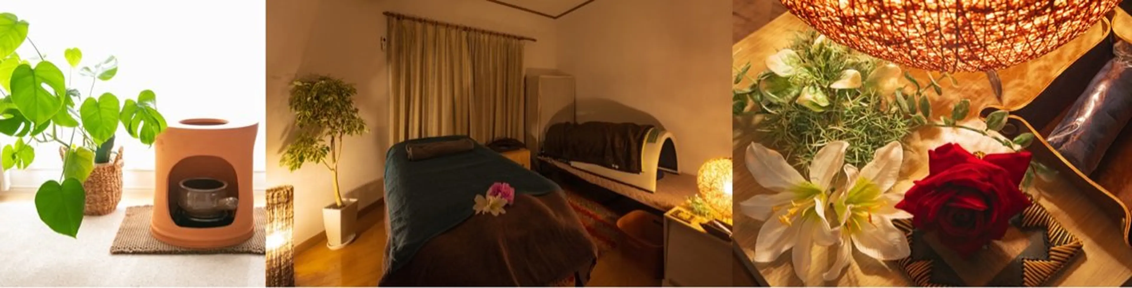 遠赤外線ドーム30分+全身リンパケア60分の写真