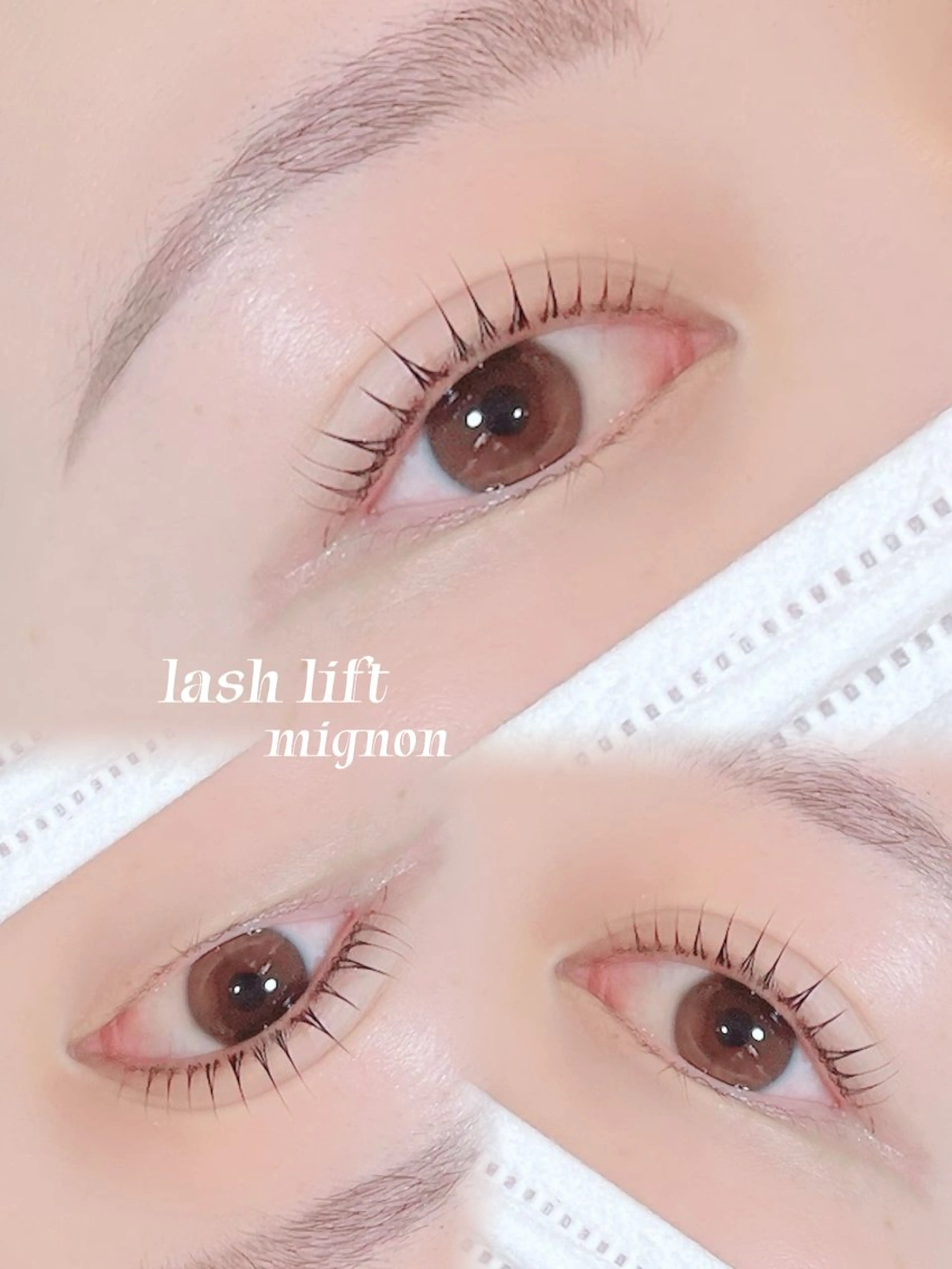 Jr.アイリストが担当🤍まつげパーマ+アイブロウ🕊️✨の写真