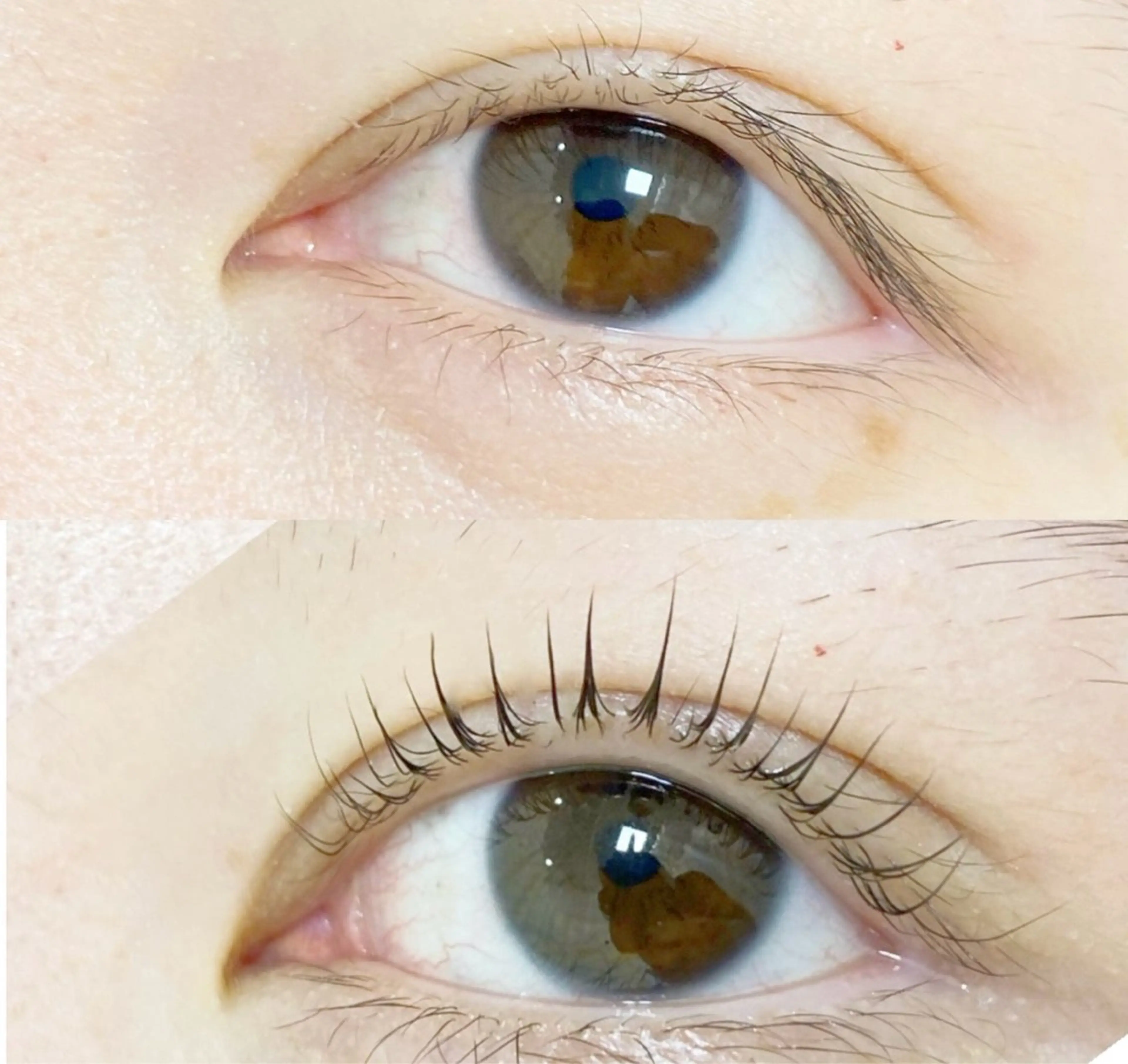 マツエク・マツパ 付け放題 バインドロック 束感まつ毛 カラーマツエク フラットラッシュ マツパ Ｍ salon アイラッシュのマツエク・マツパデザイン