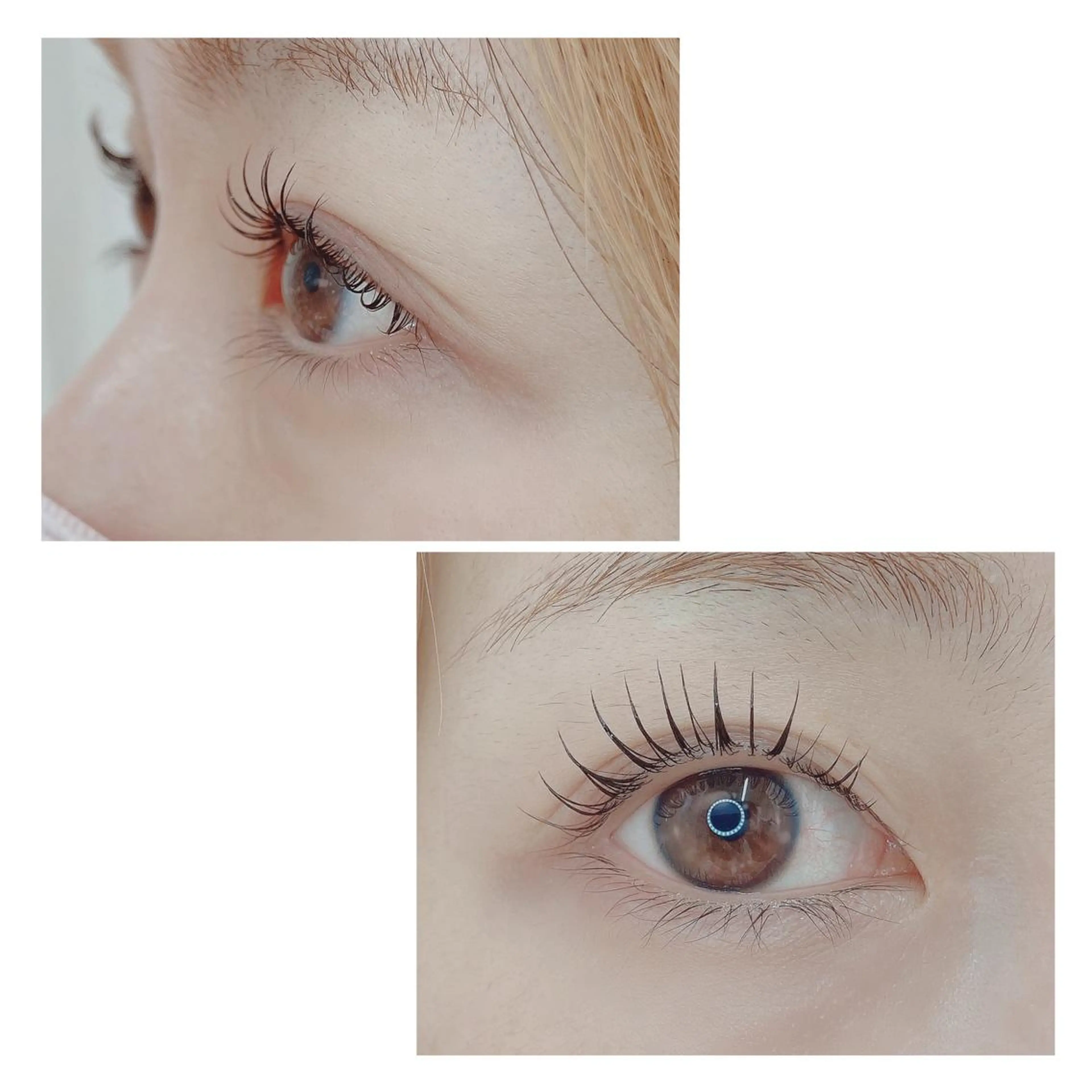 マツエク・マツパ TIARA池袋西口店 店長YASUKA💐のマツエク・マツパデザイン