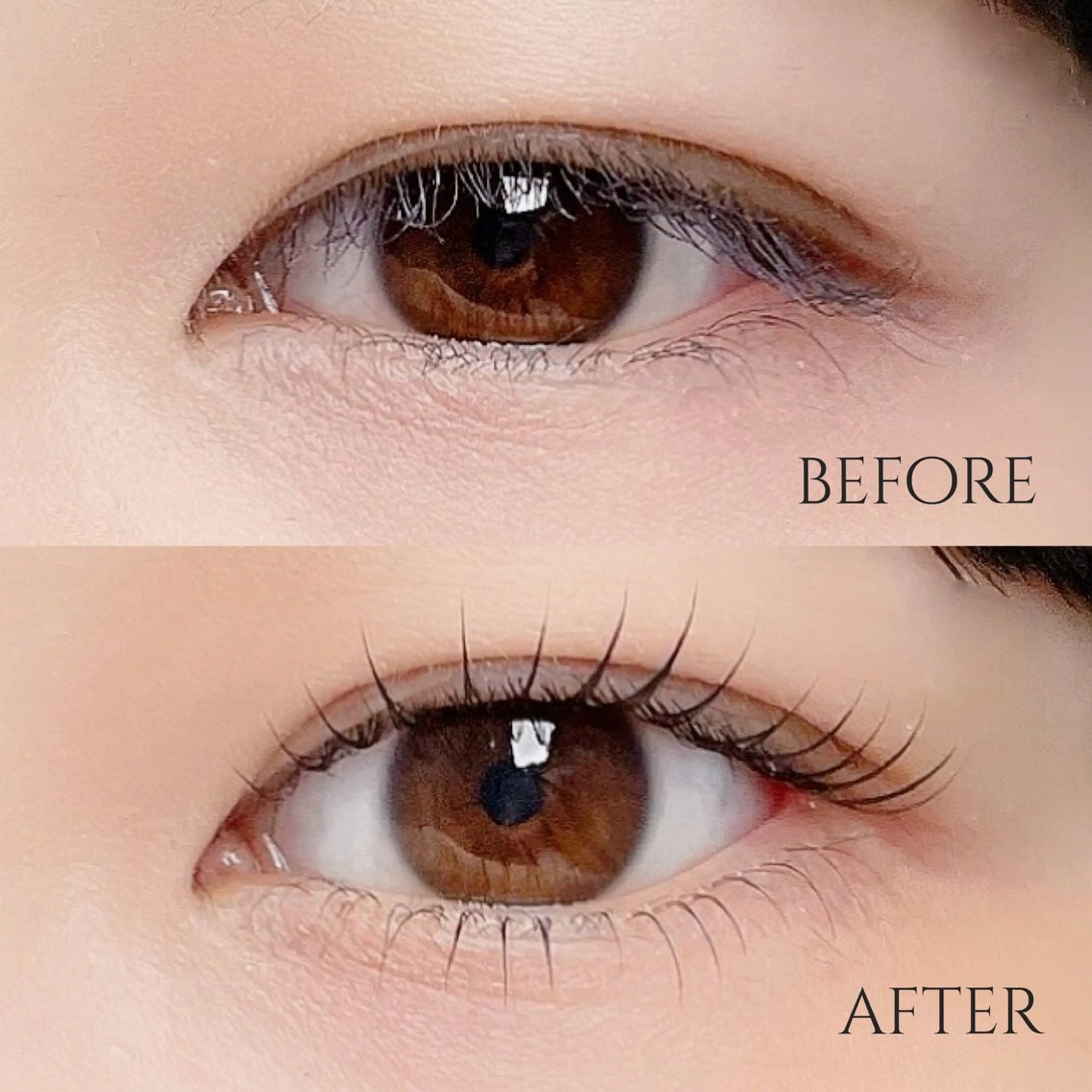 マツエク・マツパ MOMOE 恵比寿 まつげパーマのマツエク・マツパデザイン